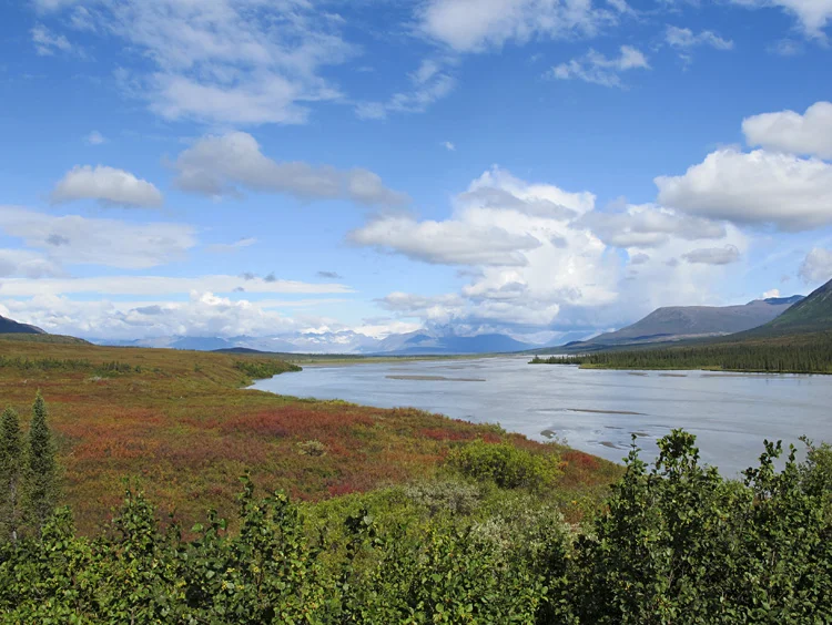 AK2010_75.jpg