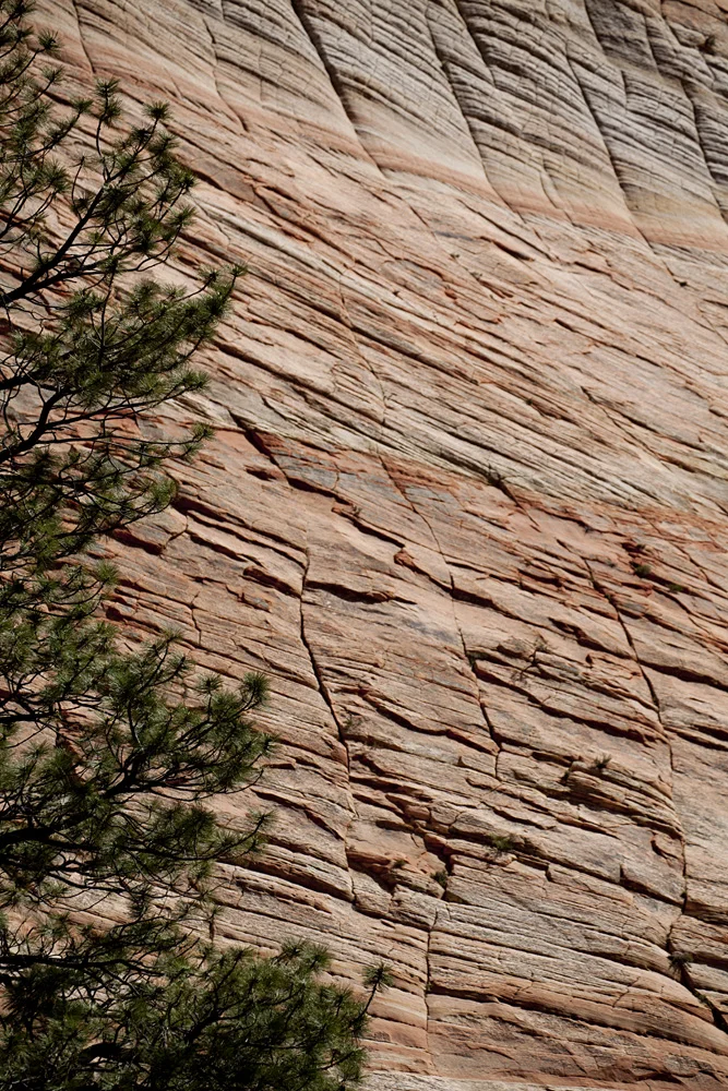 Zion_07.jpg