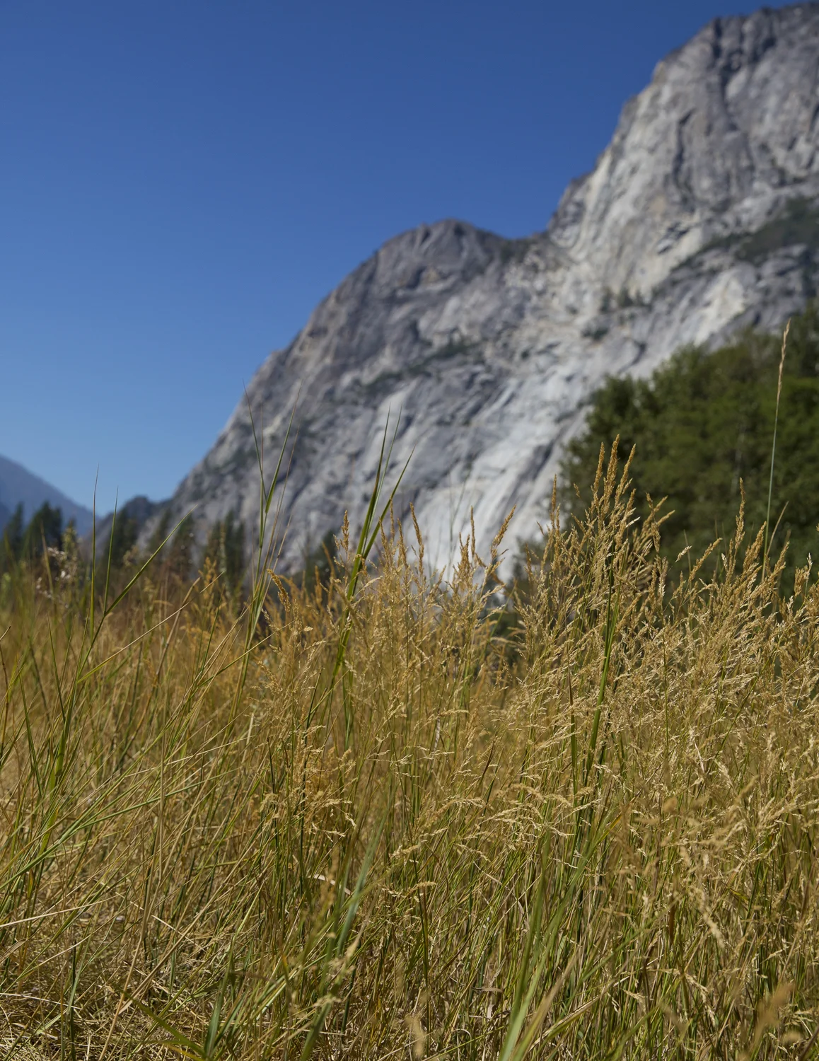 Yosemite_038.jpg