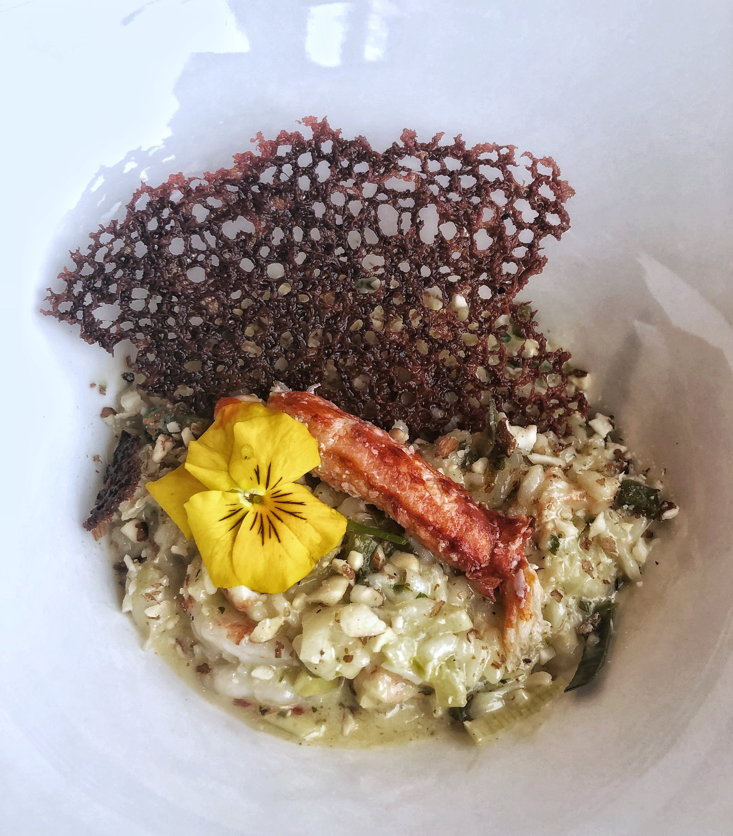 I don’t really like food photos, but this king crab and shrimp risotto was the bomb.com 