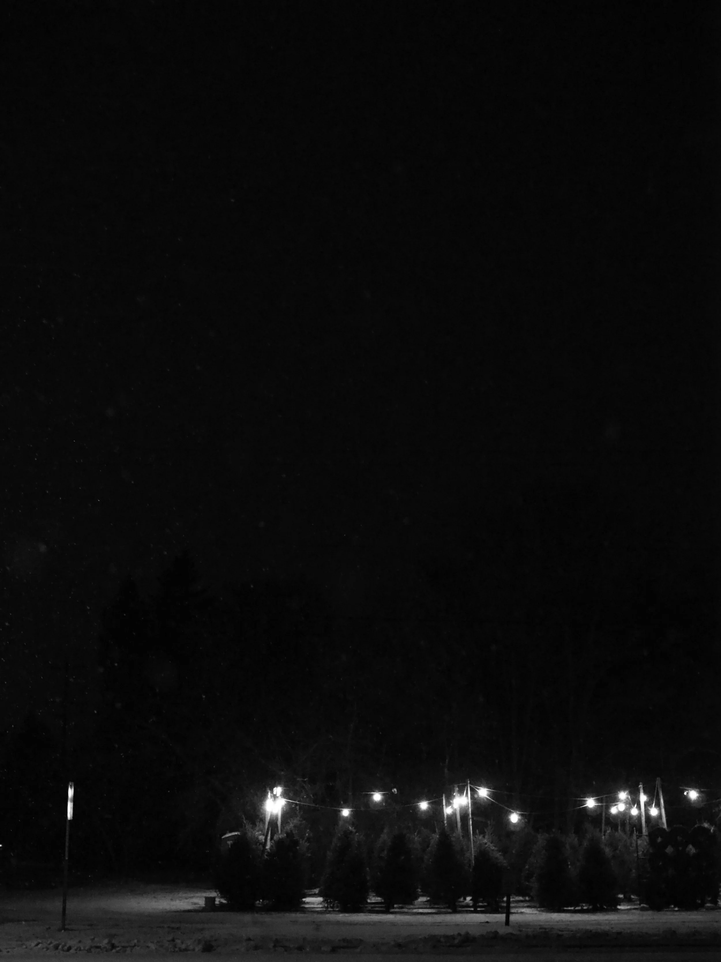 Christmas Tree Lot. Saint Paul, MN.