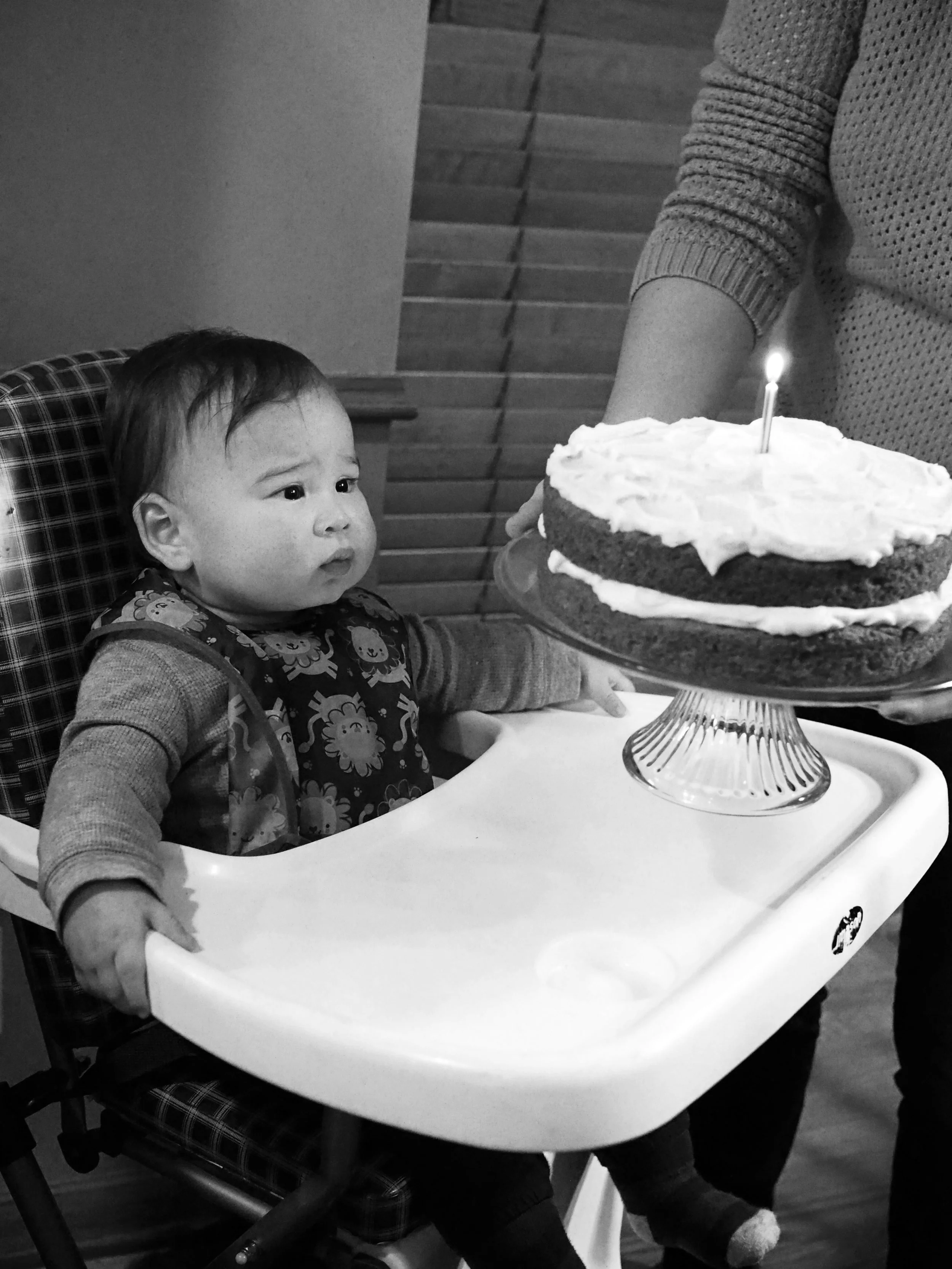 First Birthday. Vandals Heights, MN.