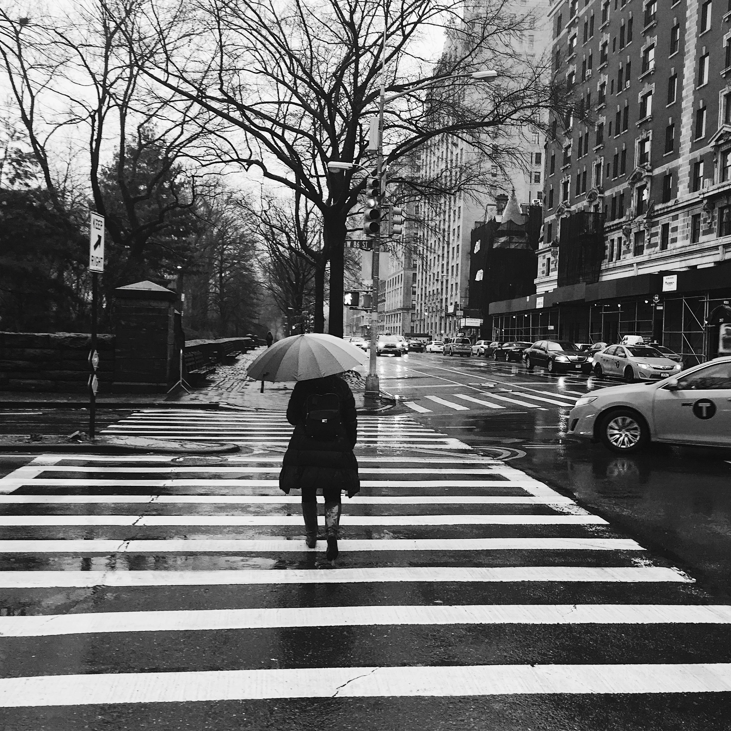 Rainy morning. New York, New York.