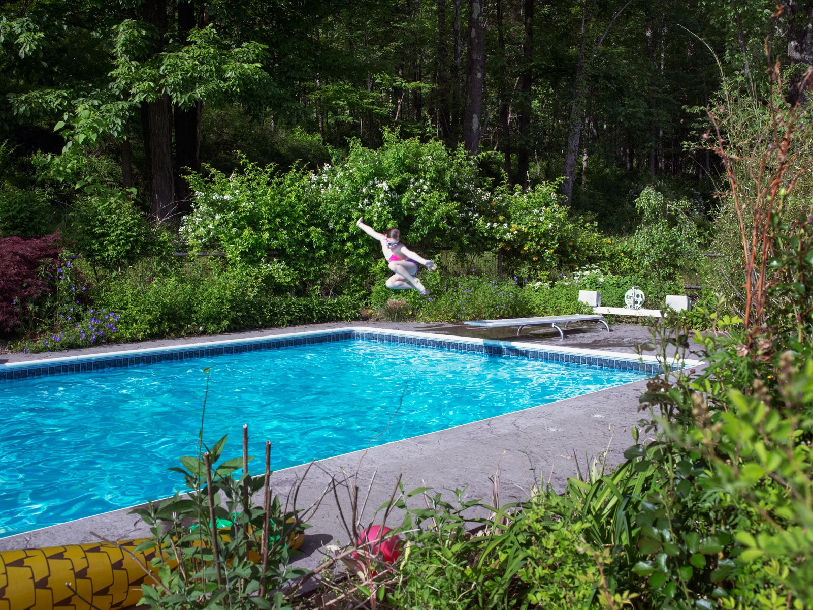 SWAN_0462.jpg