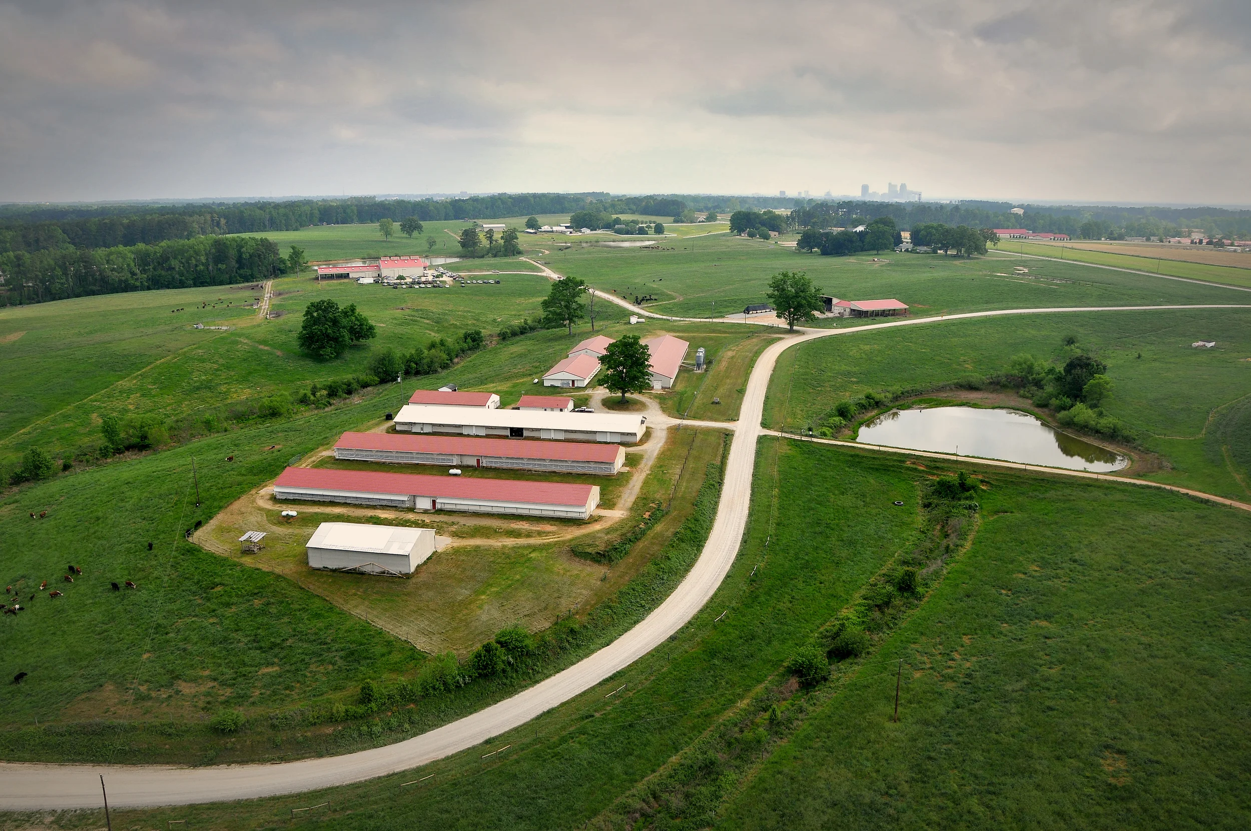 AERIAL.farm.7813.JPG