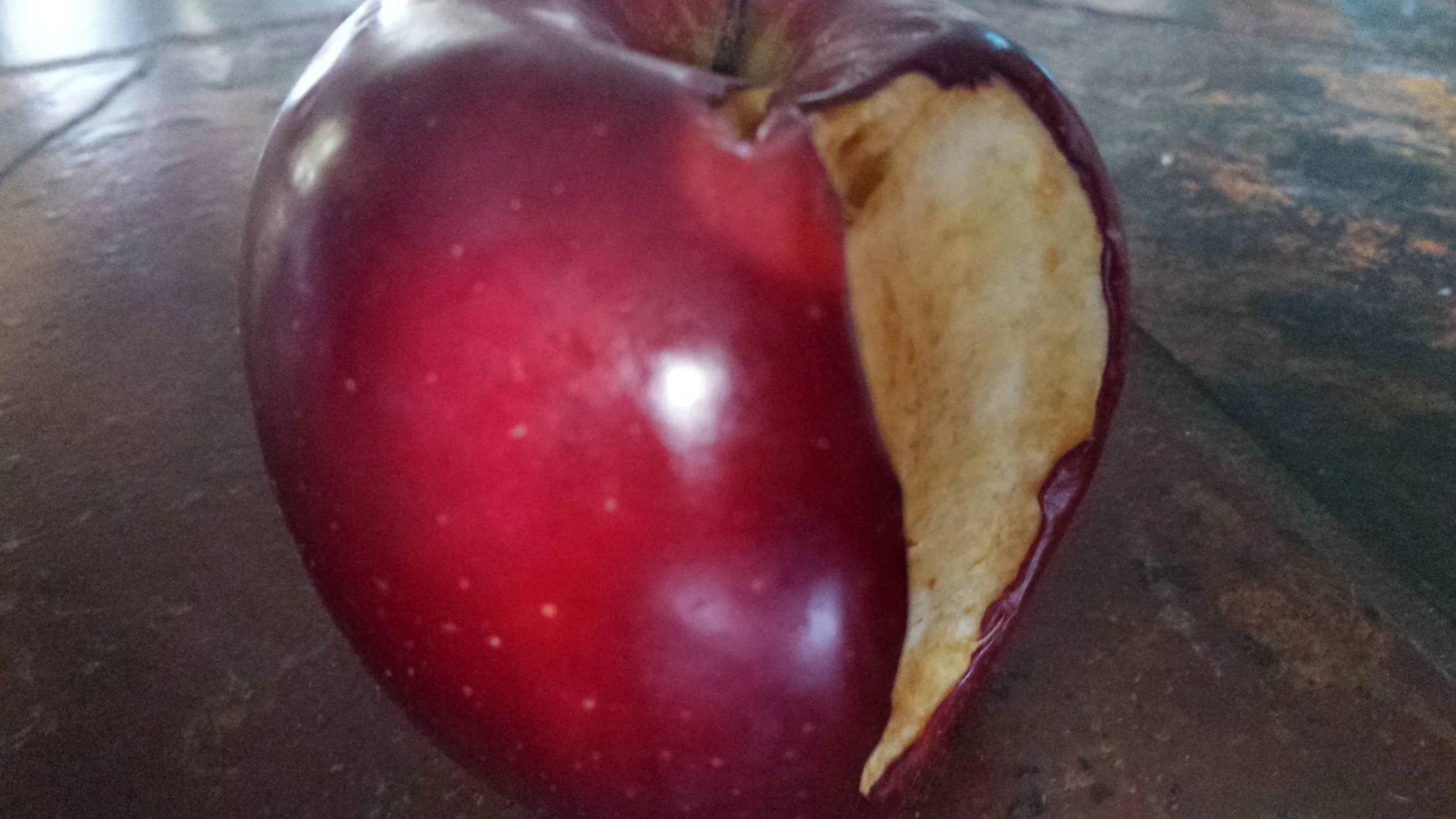 20150131_095538.jpg