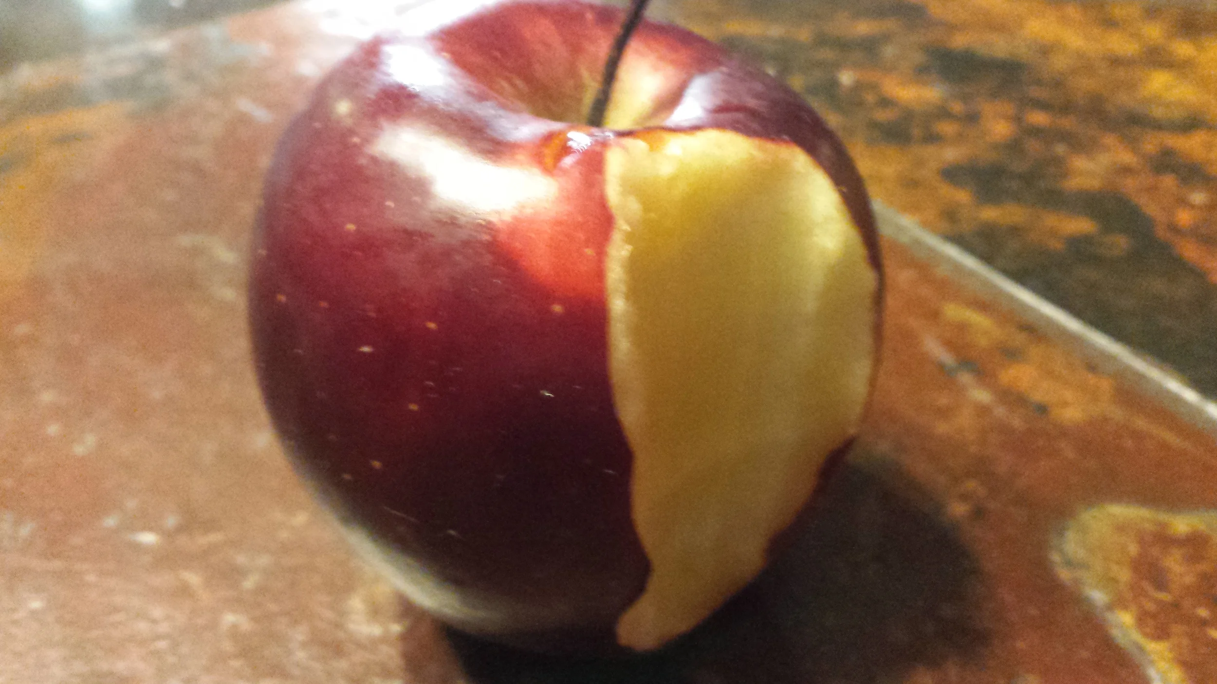 20150129_075111.jpg