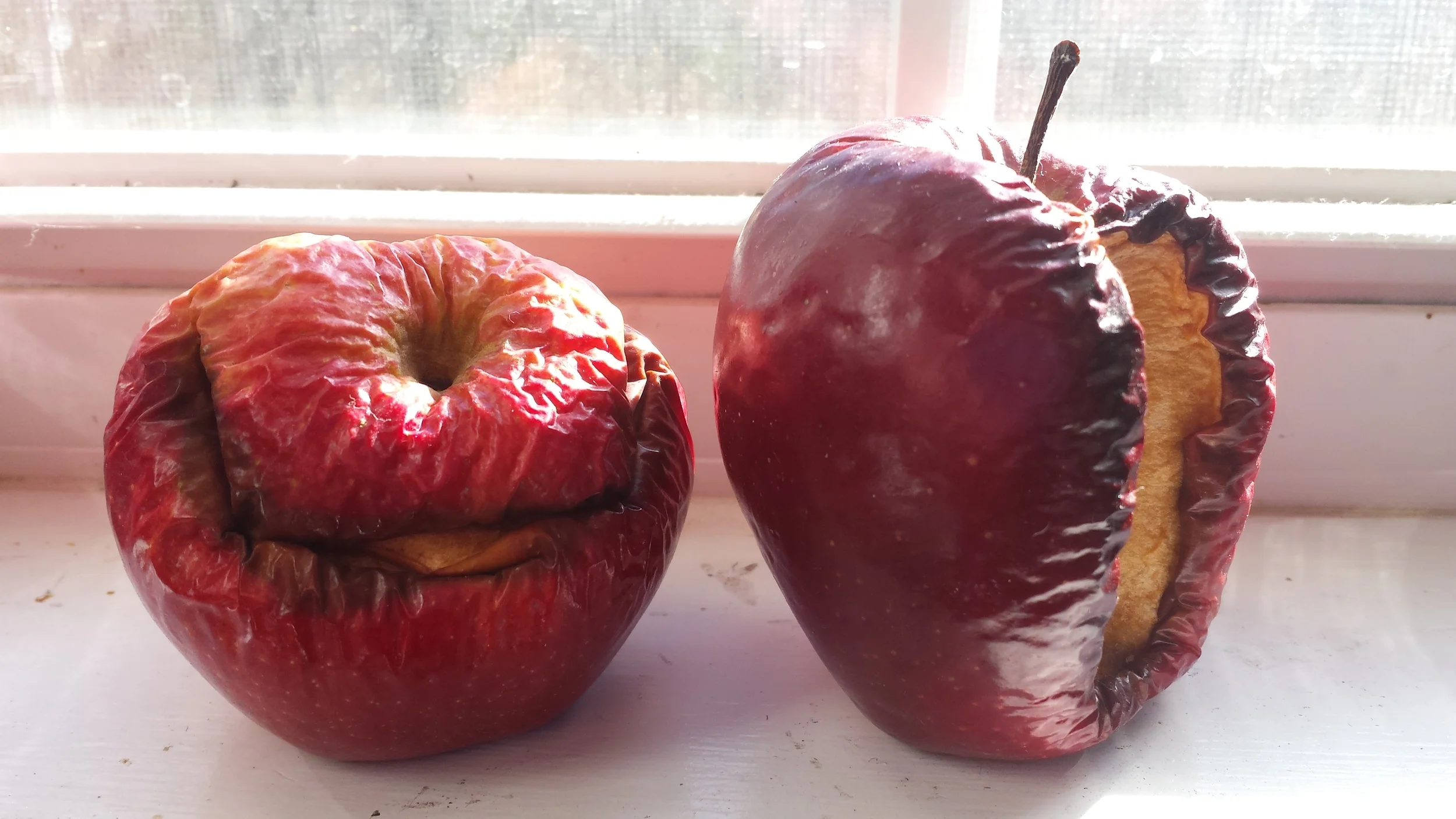 20150219_092908.jpg