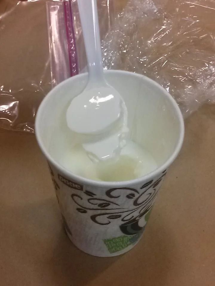 Making Yogurt.jpg