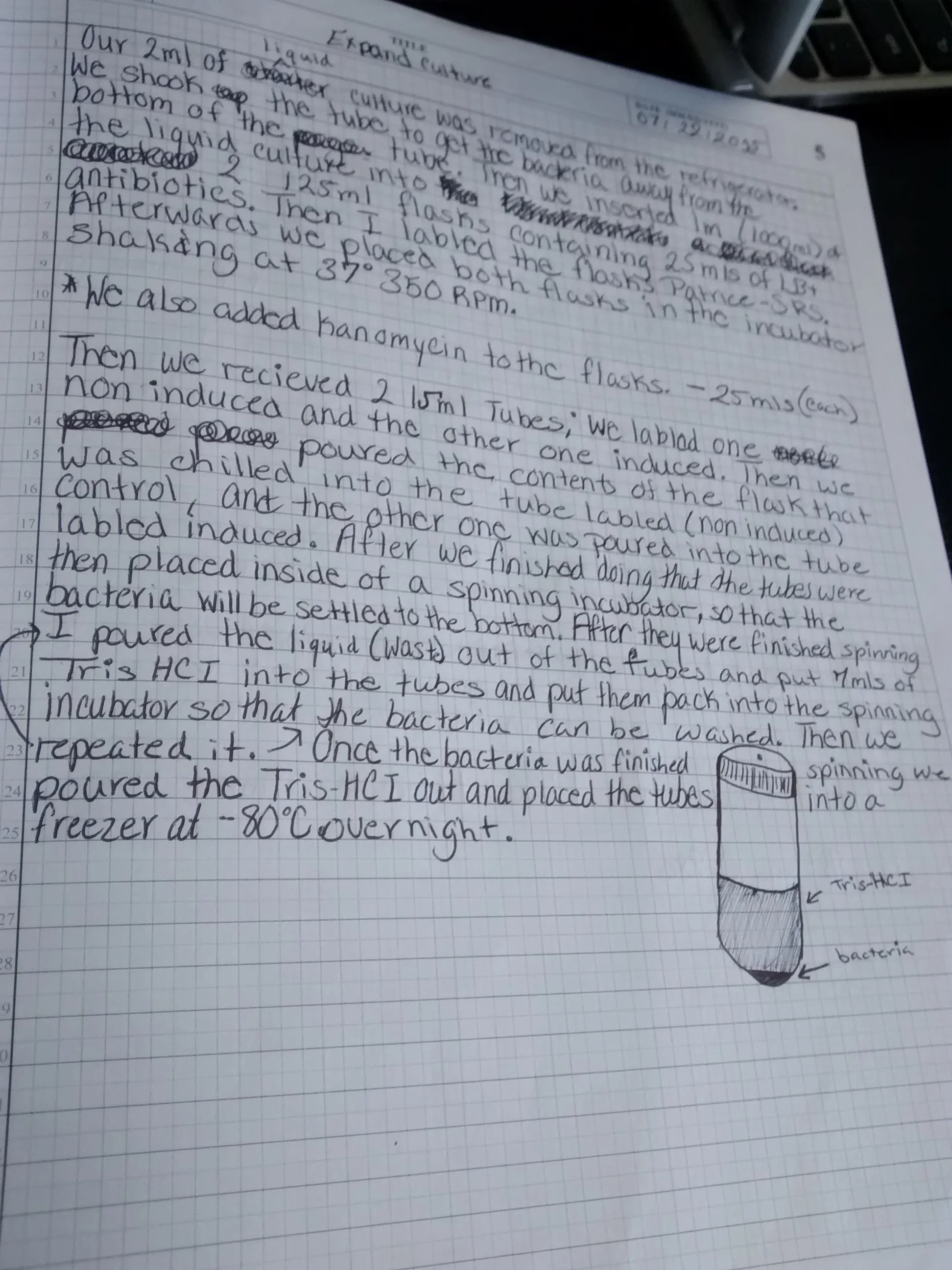 IMG_20150909_102733382.jpg