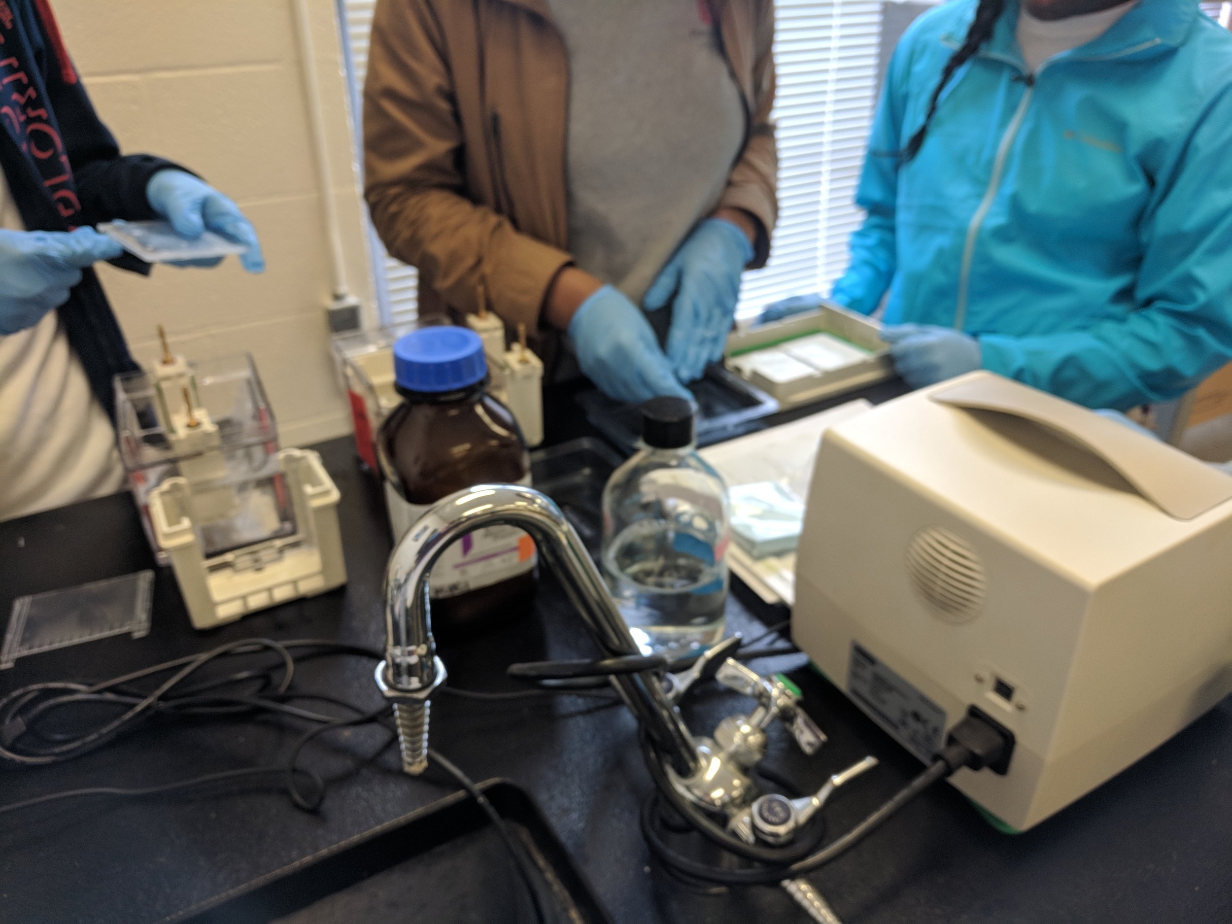 Koci Laboratory