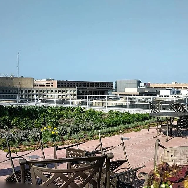 Not a bad view from top of @americanfarmbureau  HQ.  Thanks for the tour and info on what you do for #AgSTEM education.
#nuggetsonmars #nifaimpacts