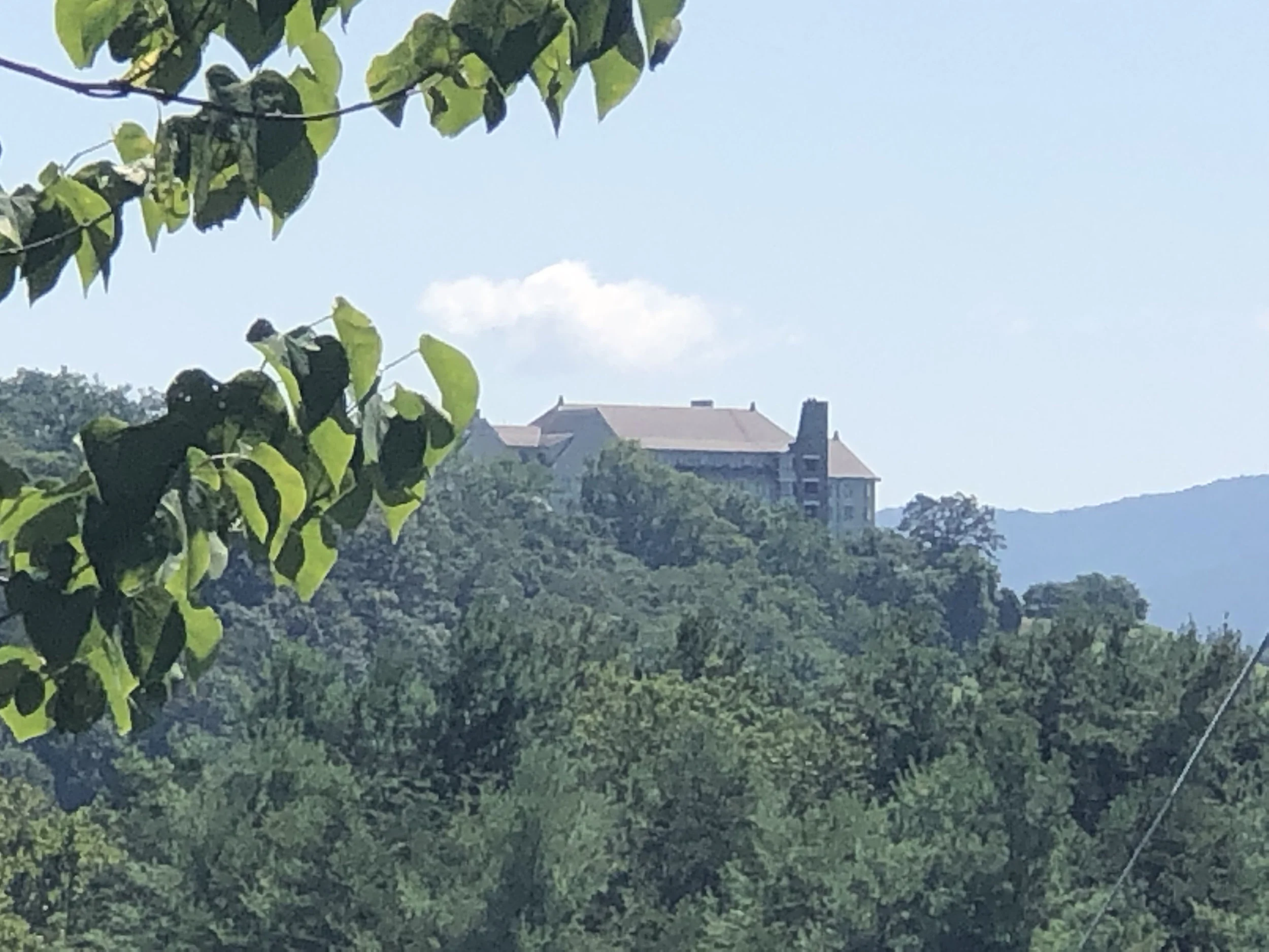 IMG_3277.jpg