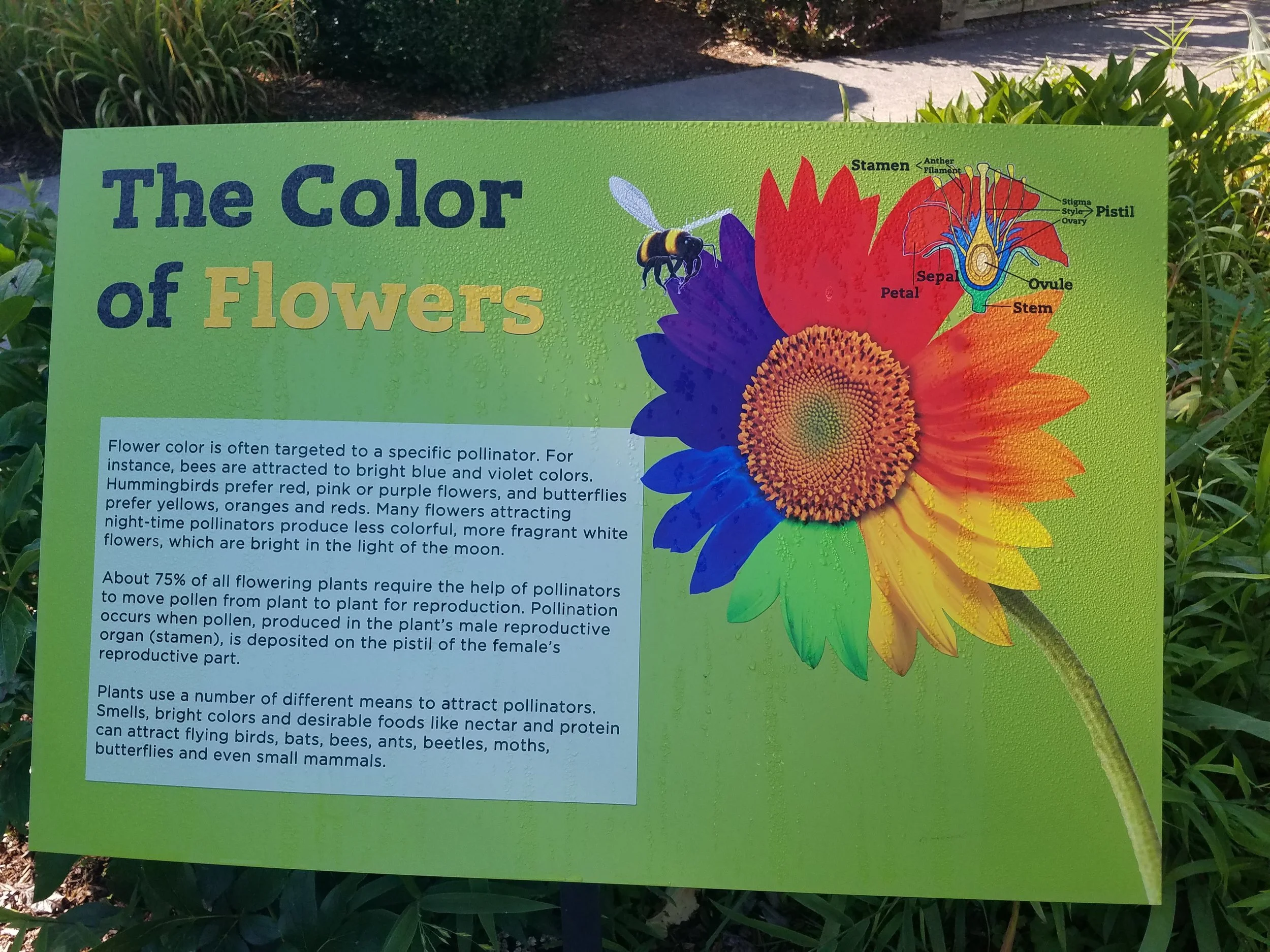 20190724_093042.jpg
