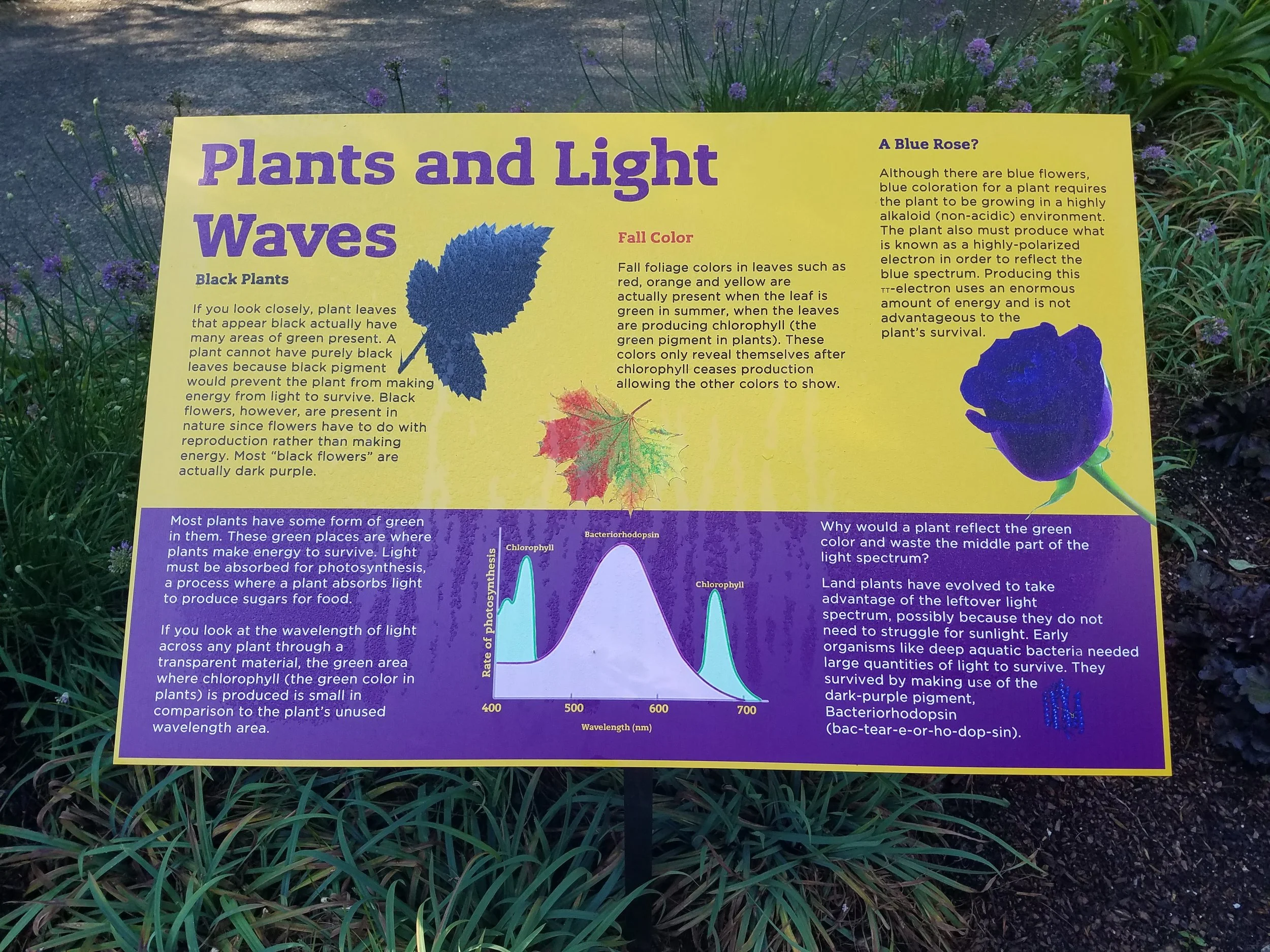 20190724_093849.jpg