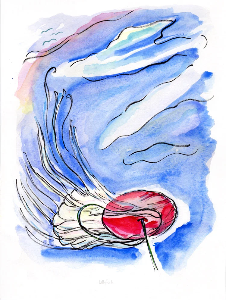 Jellyfish
