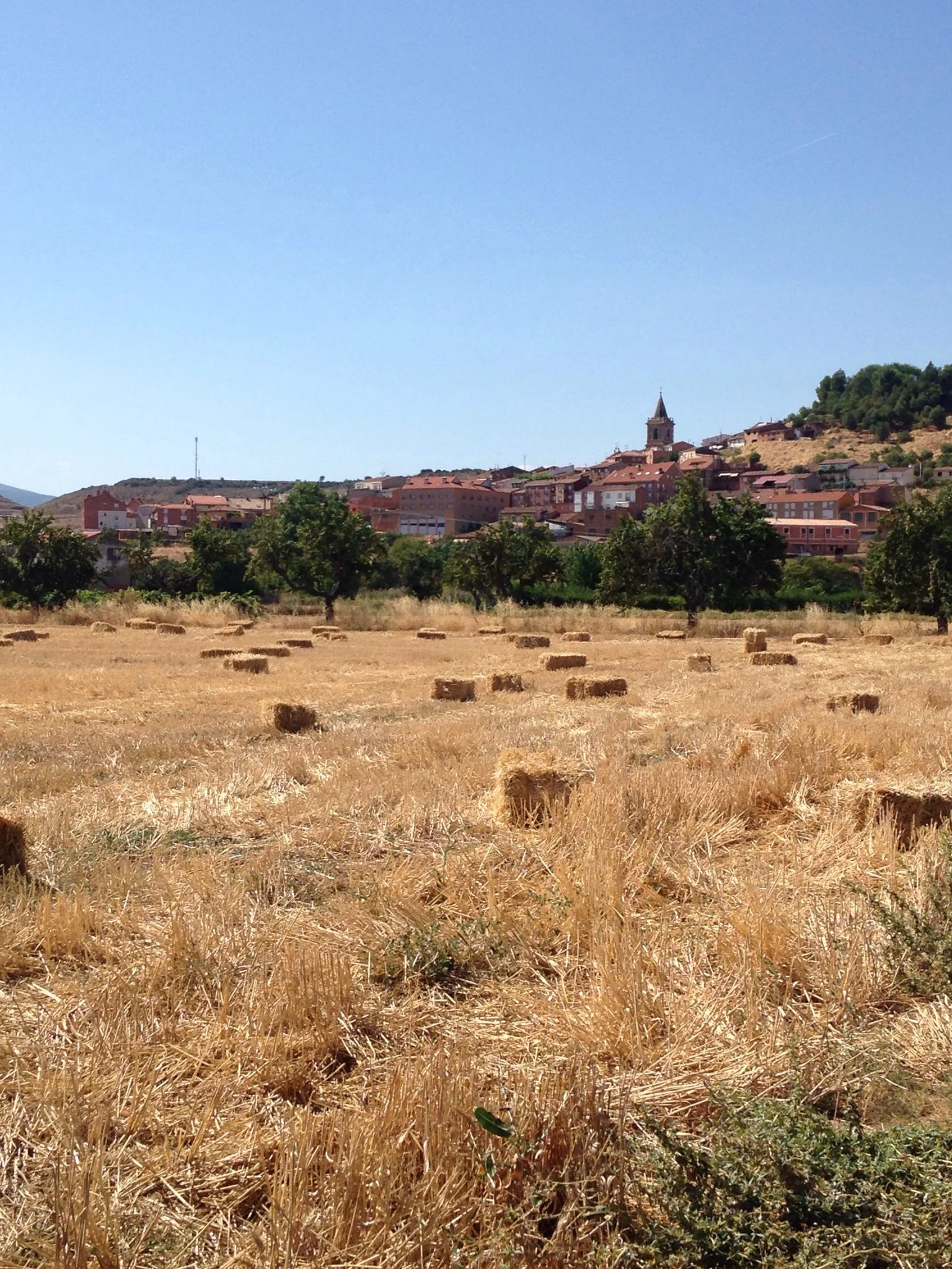 Approaching Navarrete after a hot afternoon's walk. I had the best 'pilgrims menu' I've had so far on the plaza under the church. 