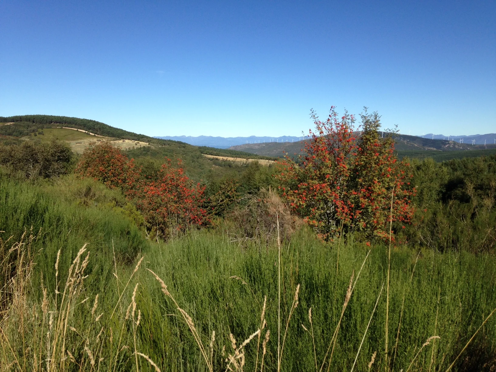 Camino de Santiago Days 2830 Rabanal del Camino to Reigo de Ambros to Cacabelos to Las