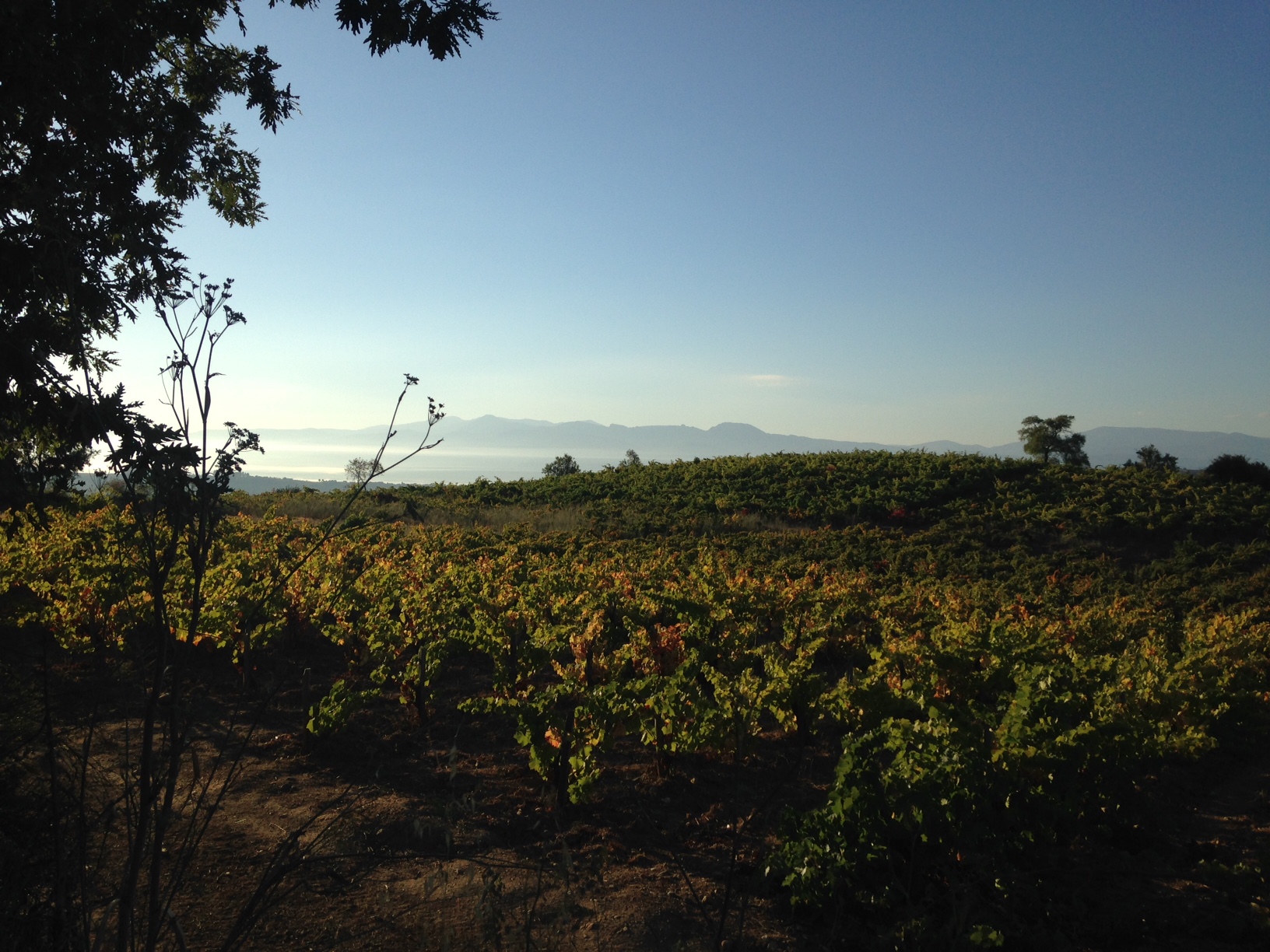 Gorgeous morning's walk into Villafranca del Bierzo