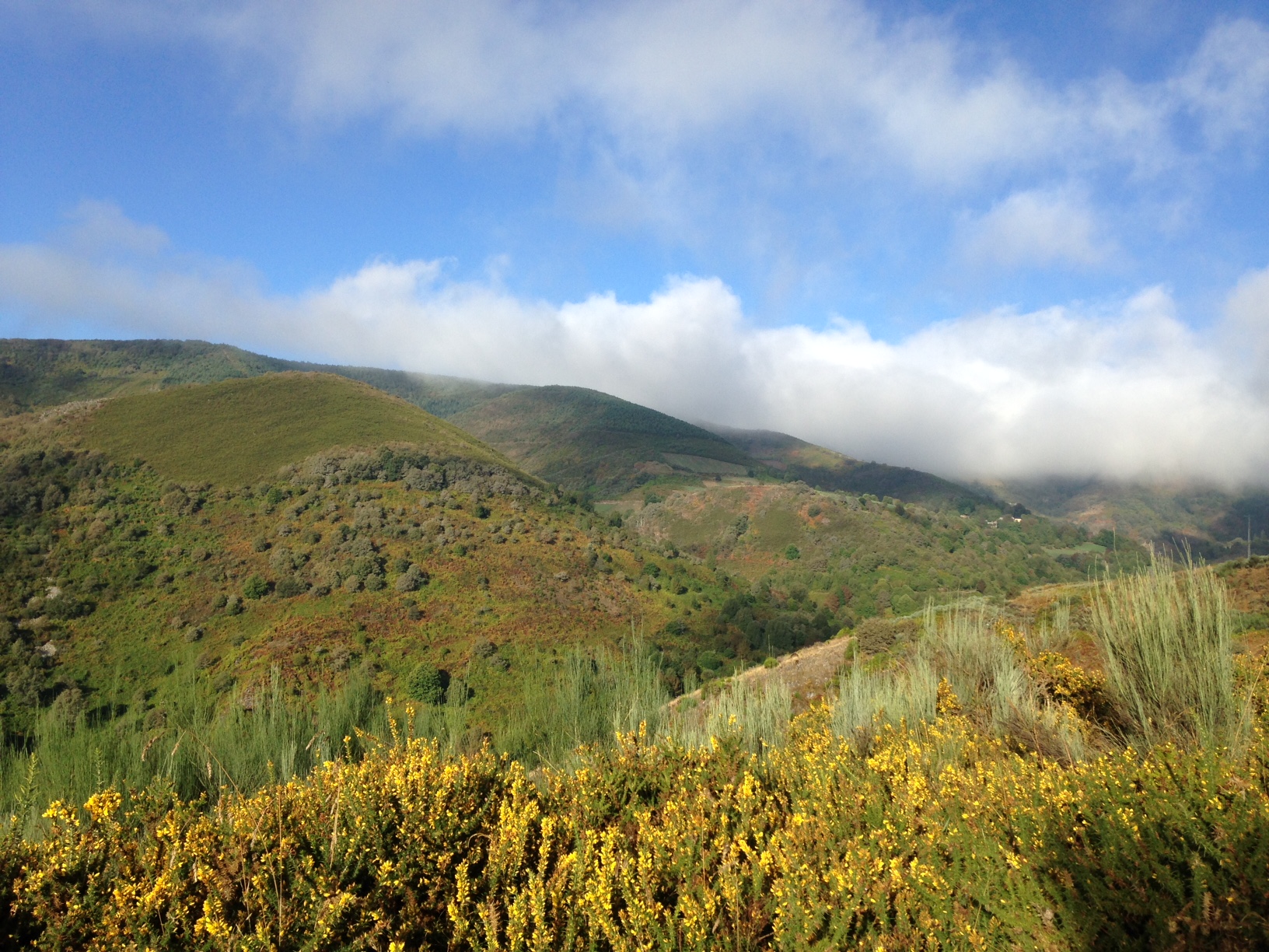 Beautiful Galicia