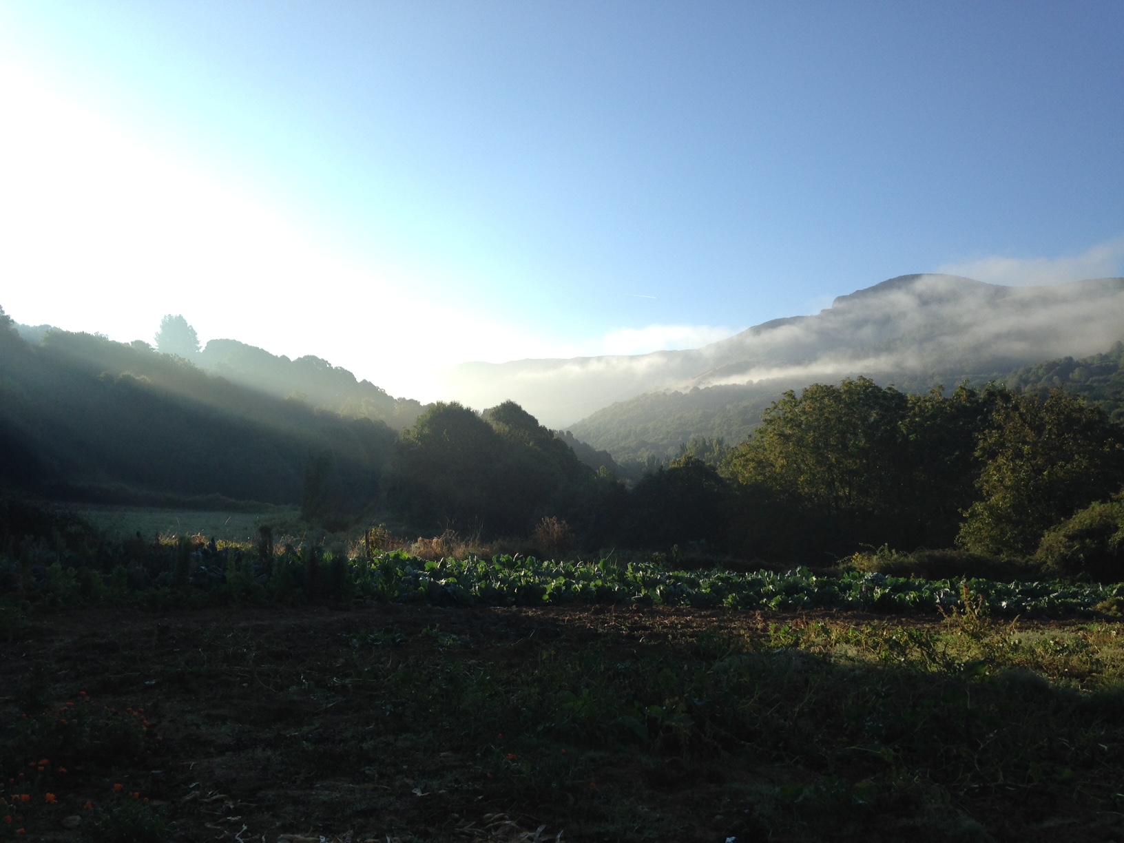 Breathtaking light filters in serene valleys outside of Triacastela.