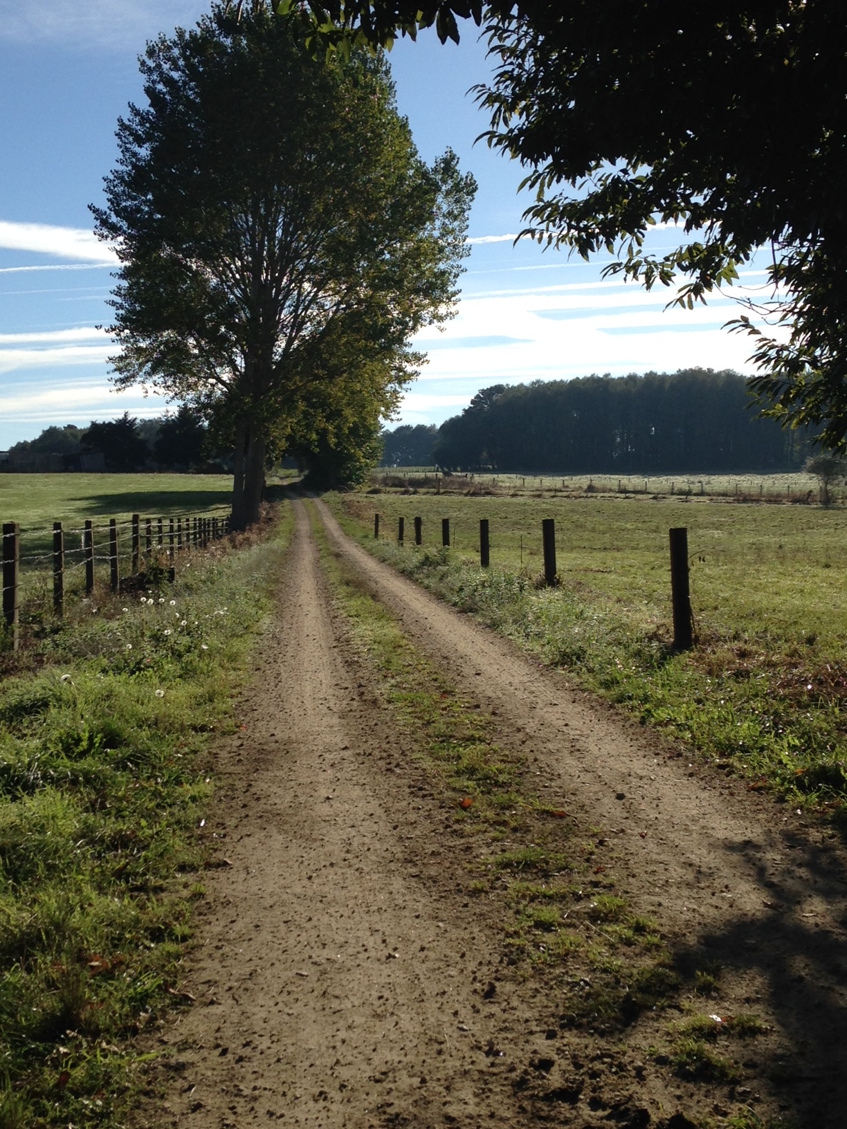picturesque country roads on the walk to Portomarin.
