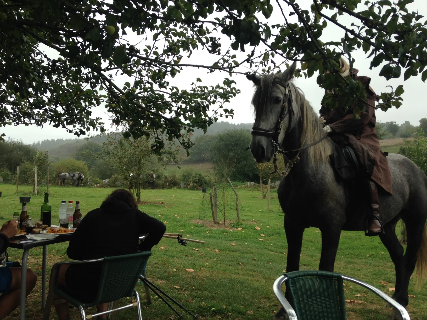 Blog — Courtney Zell