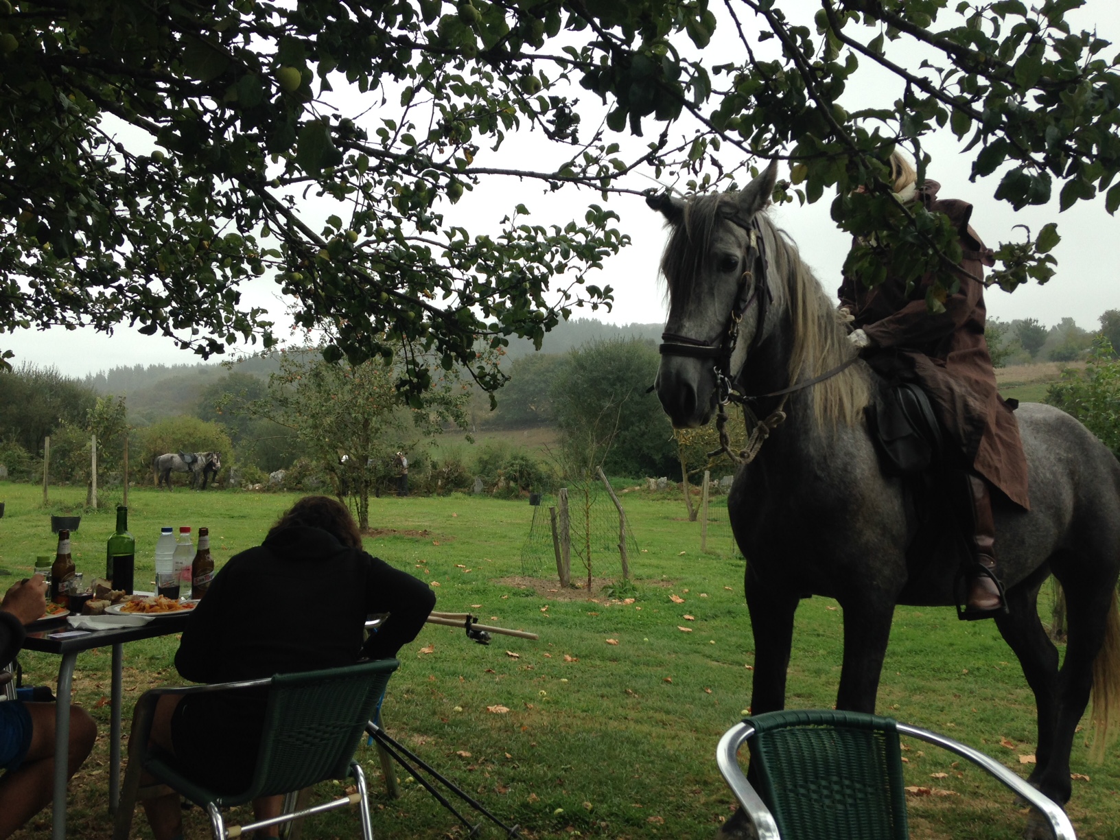 Peregrinos on horseback scrounging for some food.