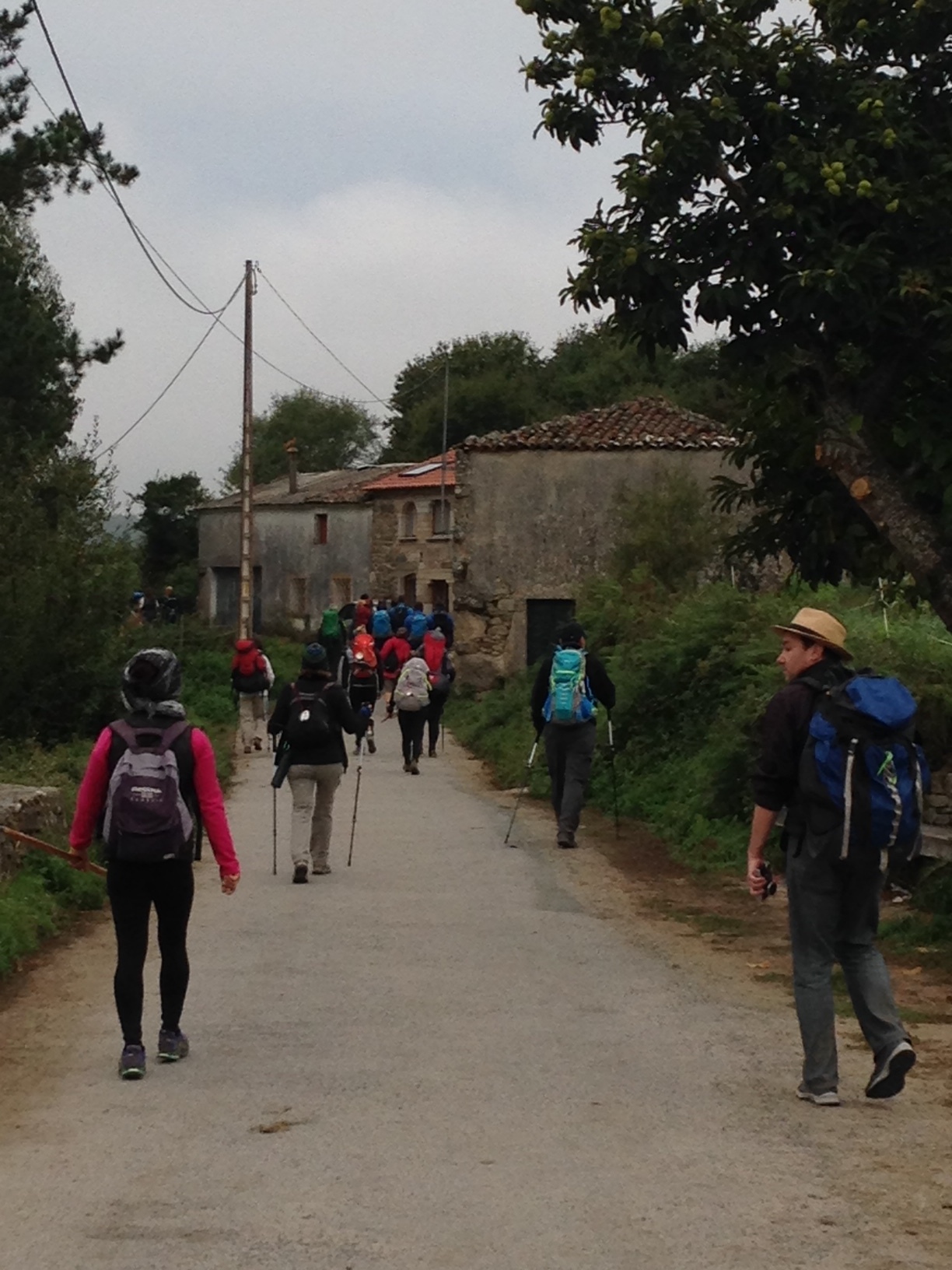 The last 100 k makes for a very crowded camino. It's a different experience than the first 600 kilometers and it requires an attitude adjustment. Galicia is so beautiful in my opinion, though, it makes the shock of sharing the way a little gentler. I tend to always be trailing behind Mike.