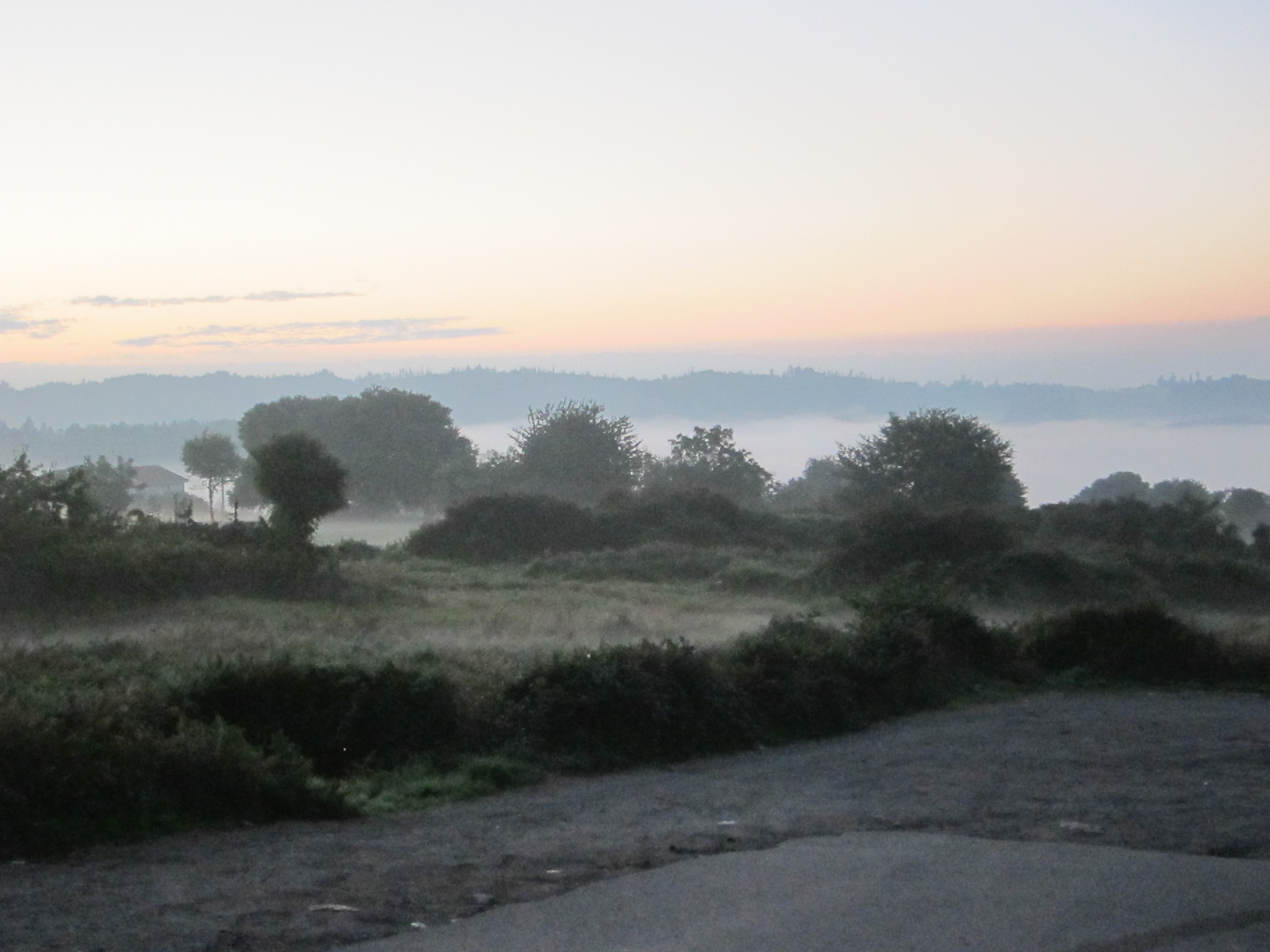 Misty morning leaving Ribadiso, which was tiny and quaint though I was tired and cranky the night we crashed there in my least favorite hostel of the walk run by a mad woman who adored Mike.