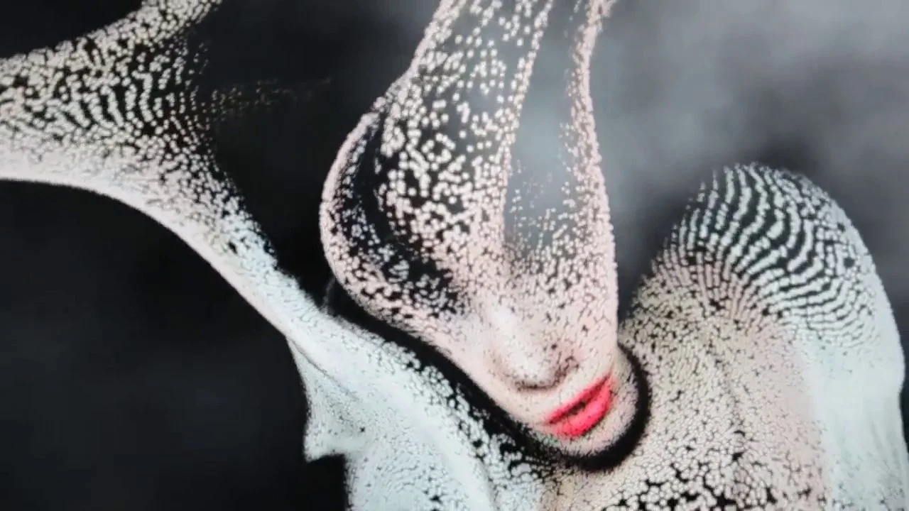 Heineken - Starvision