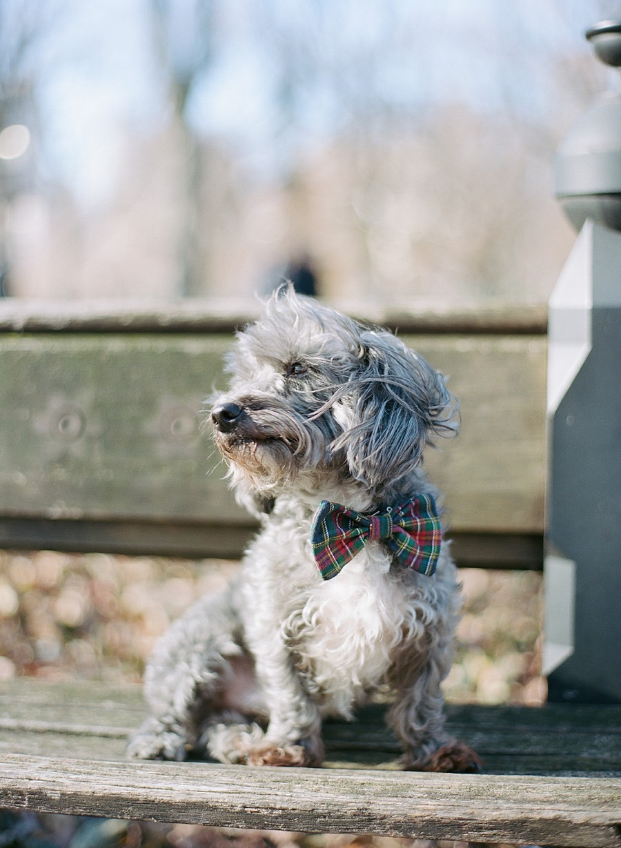 NYC_Engagement_Session_MA_22.jpg