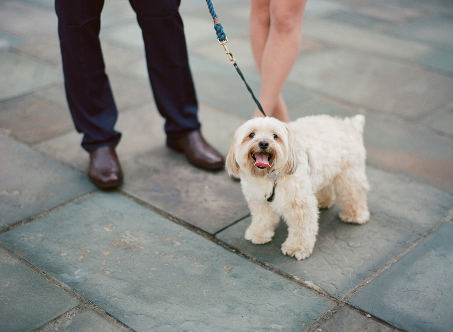 CRANBURY_PARK_ENGAGEMENT_SESSION_RKP_AM_0006.jpg