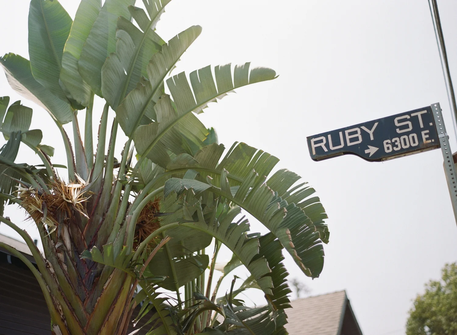 Los_Angeles_Wedding_Ruby_Street_CA_001.jpg