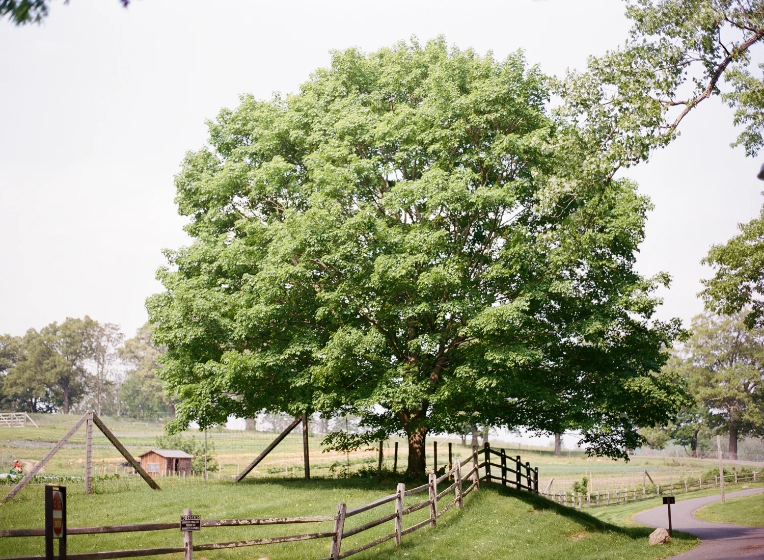 Blue_Hill_at_Stone_Barns_NY_Wedding_AS_001.jpg