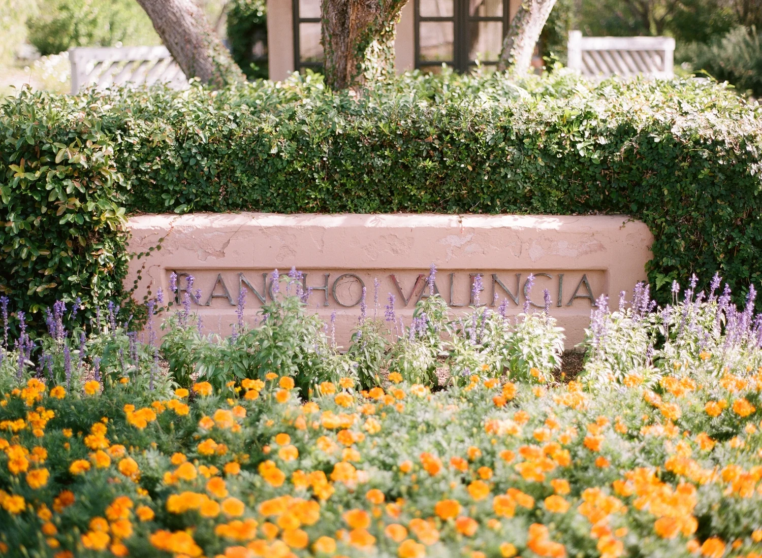 Rancho_Valencia_So_Cal_Wedding_AJ_001.jpg