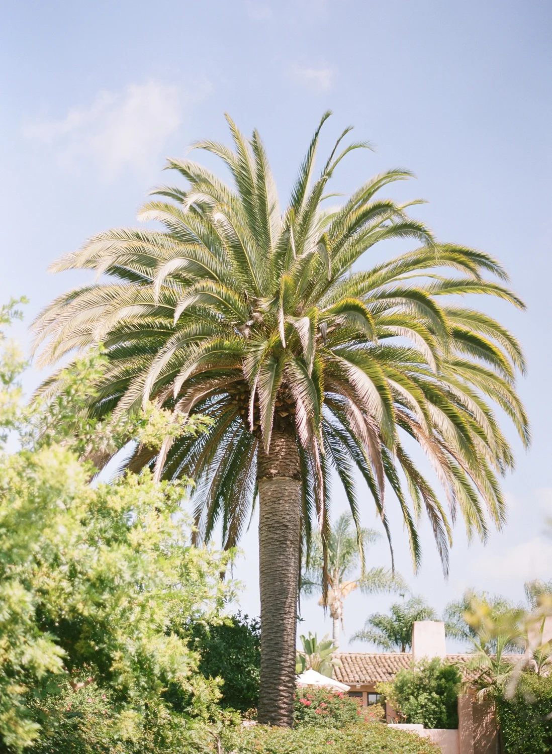 Rancho_Valencia_So_Cal_Wedding_AJ_012.jpg