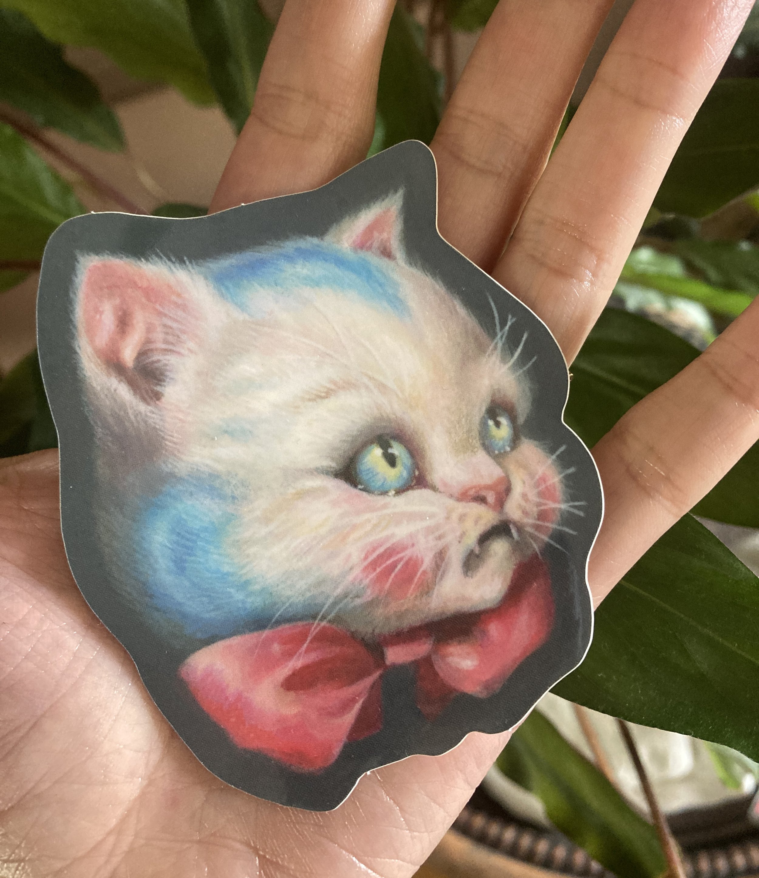 CAT WITH RED BOW PHOTO.jpg
