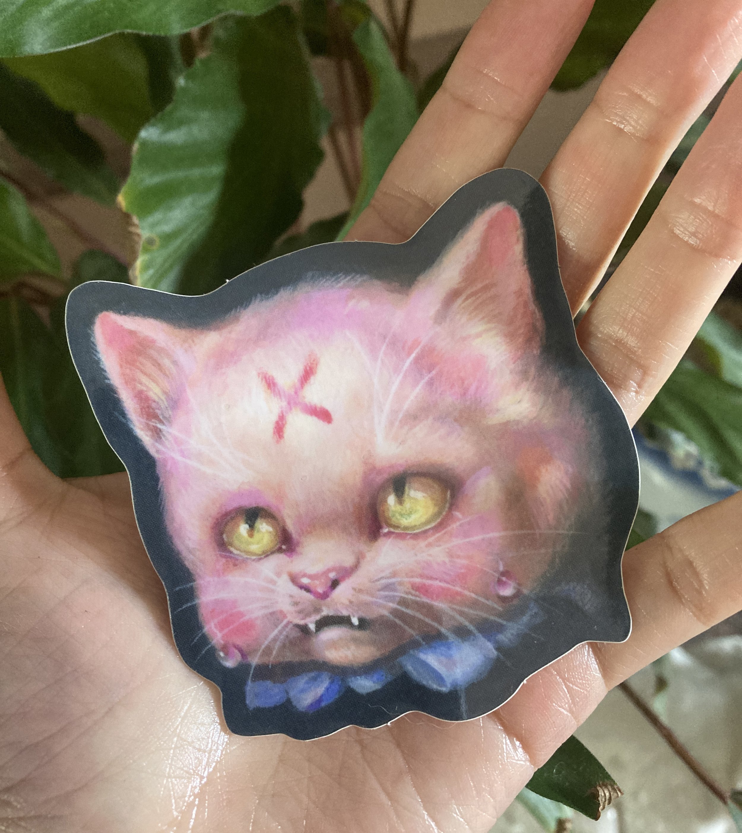 PINK CAT PHOTO.jpg