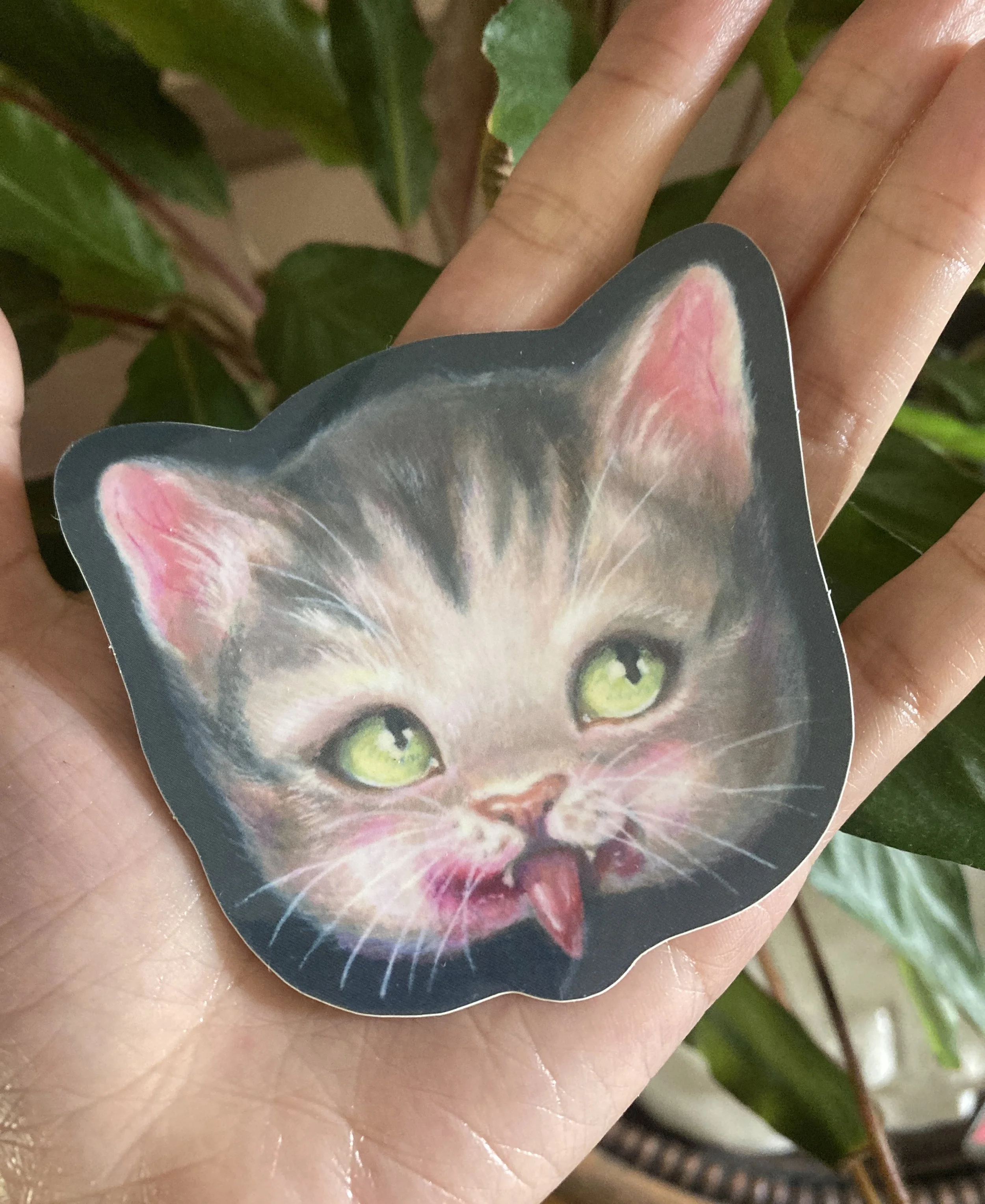 CAT WITH TOUGUE PHOTO.jpg