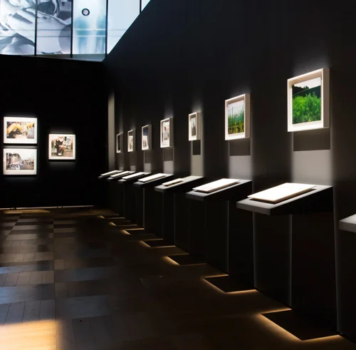 Sight Unseen: International Photography by Blind Artists, traveled by CATE