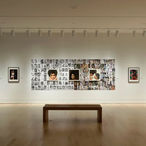 Posing Beauty in African American Culture, traveled by CATE
