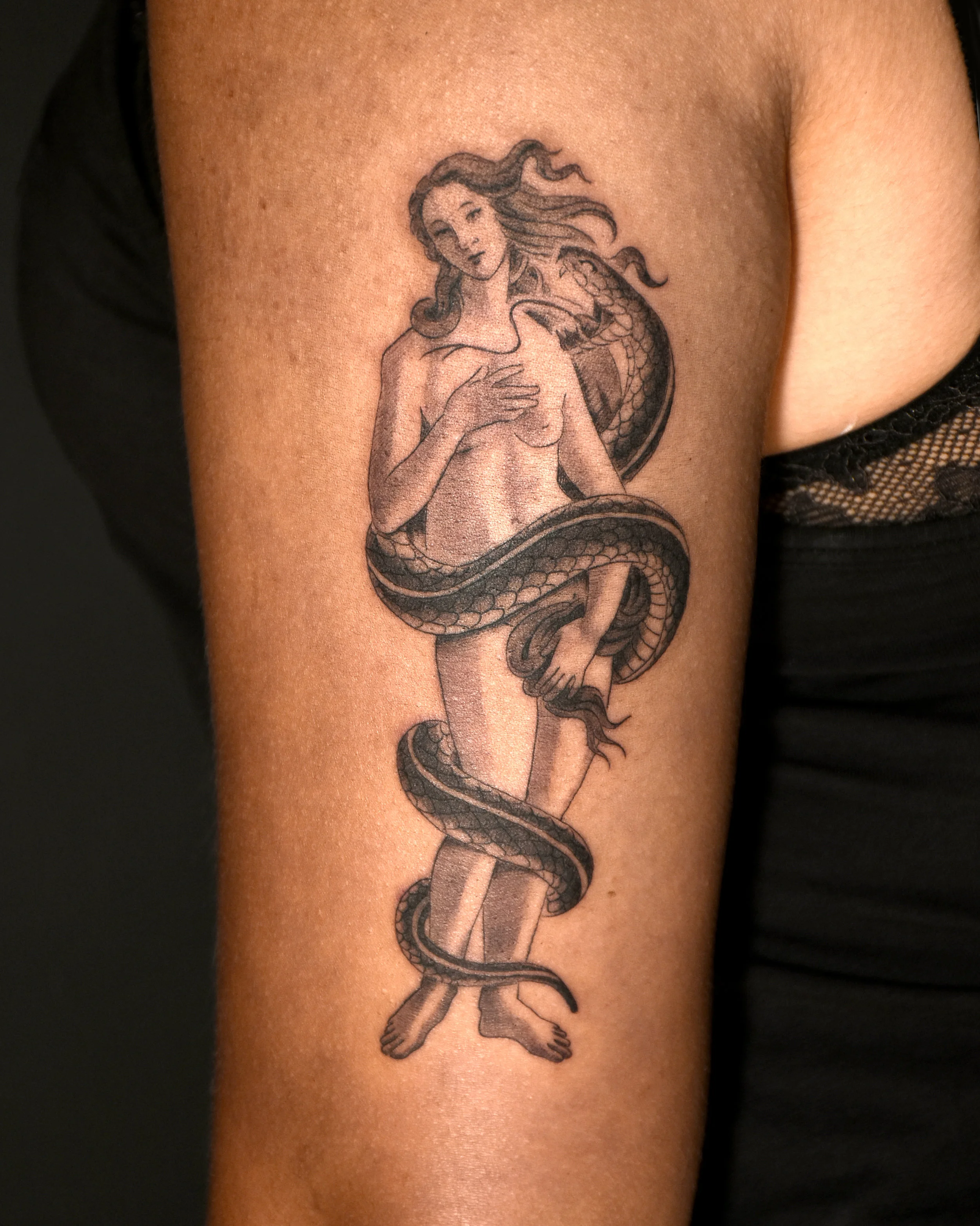 VinceKogut.VenusSnake.4.5.jpg