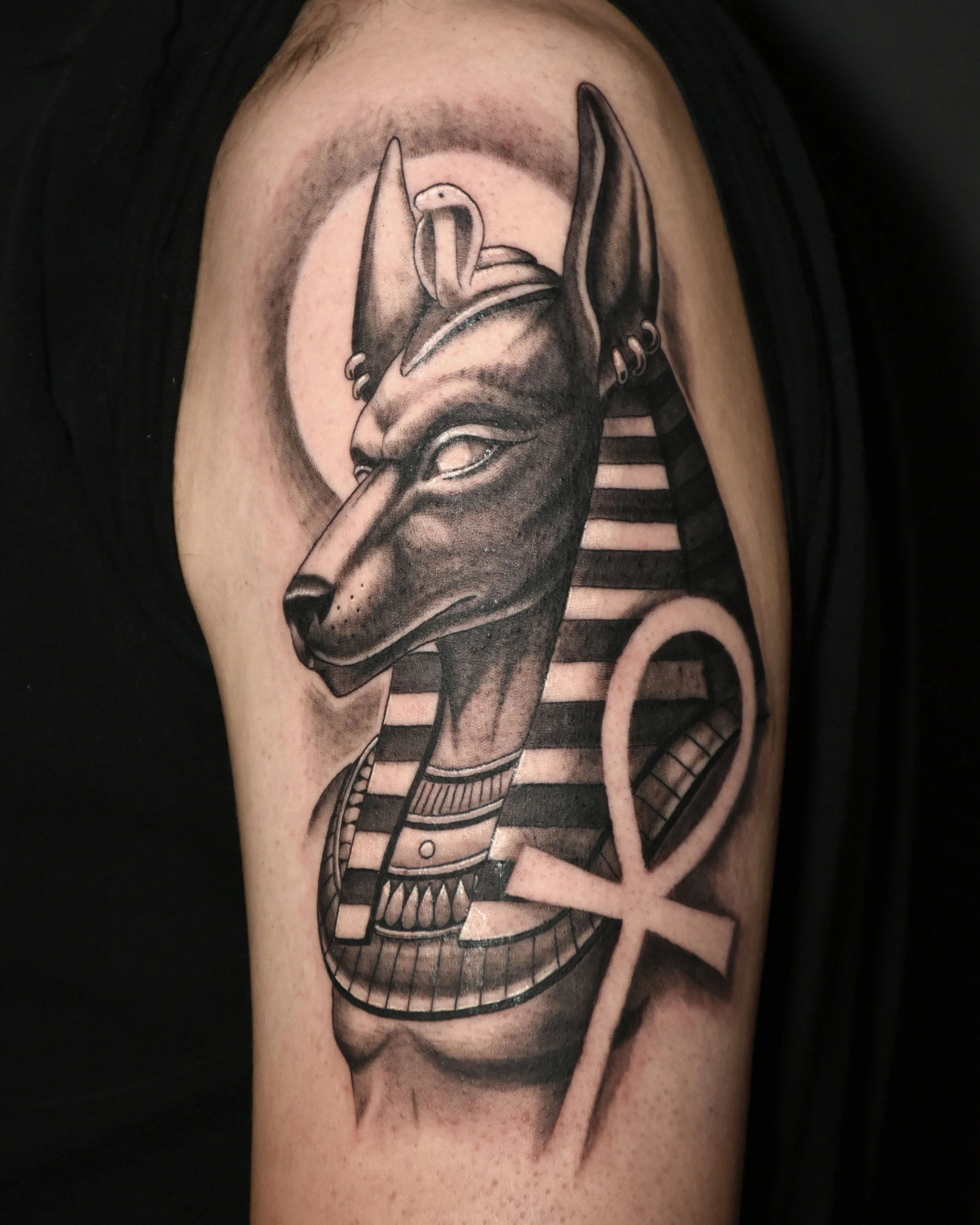 VinceKogut.Anubis2.4.5.jpg