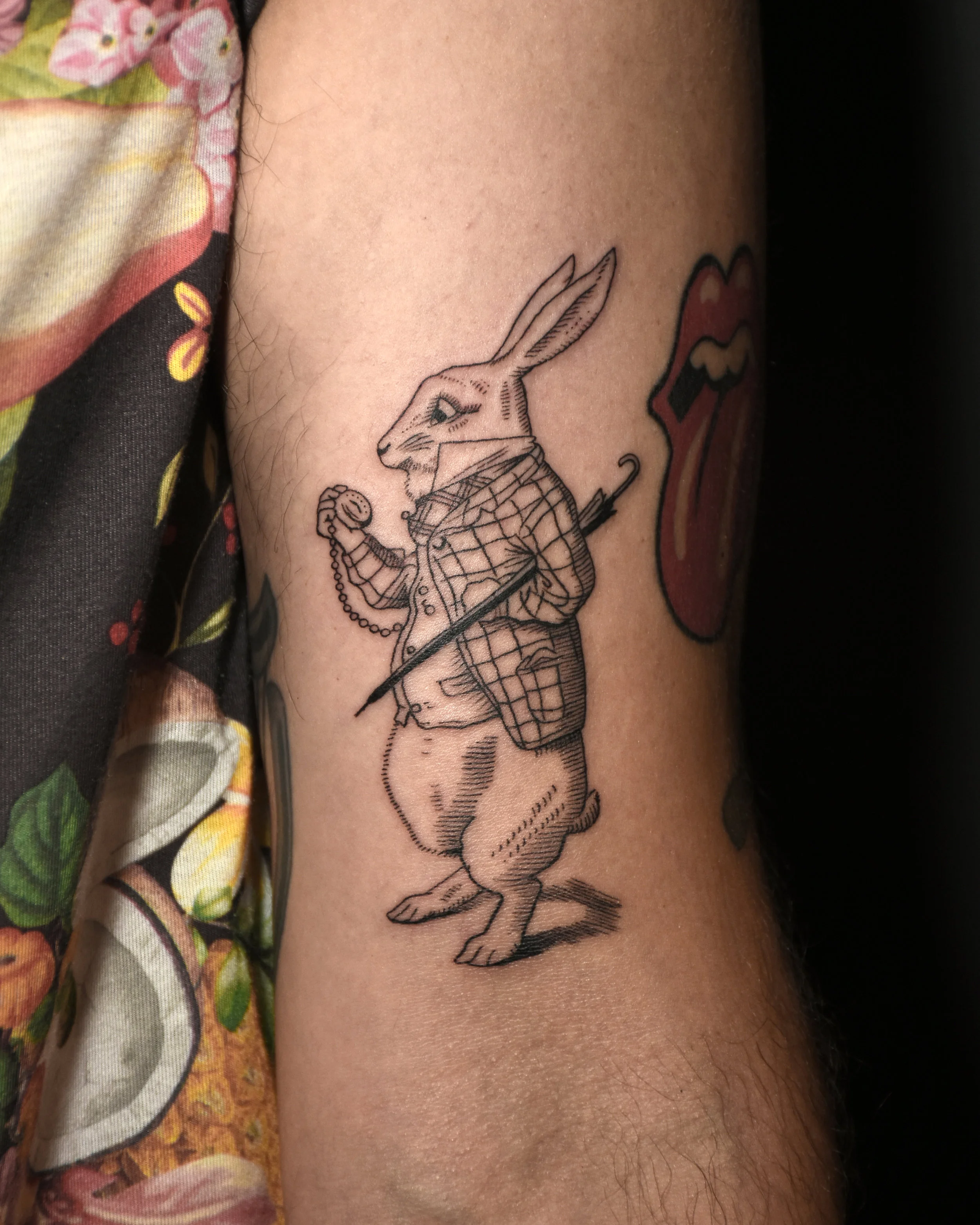 VinceKogut.Rabbit2.4.5 (1).jpg