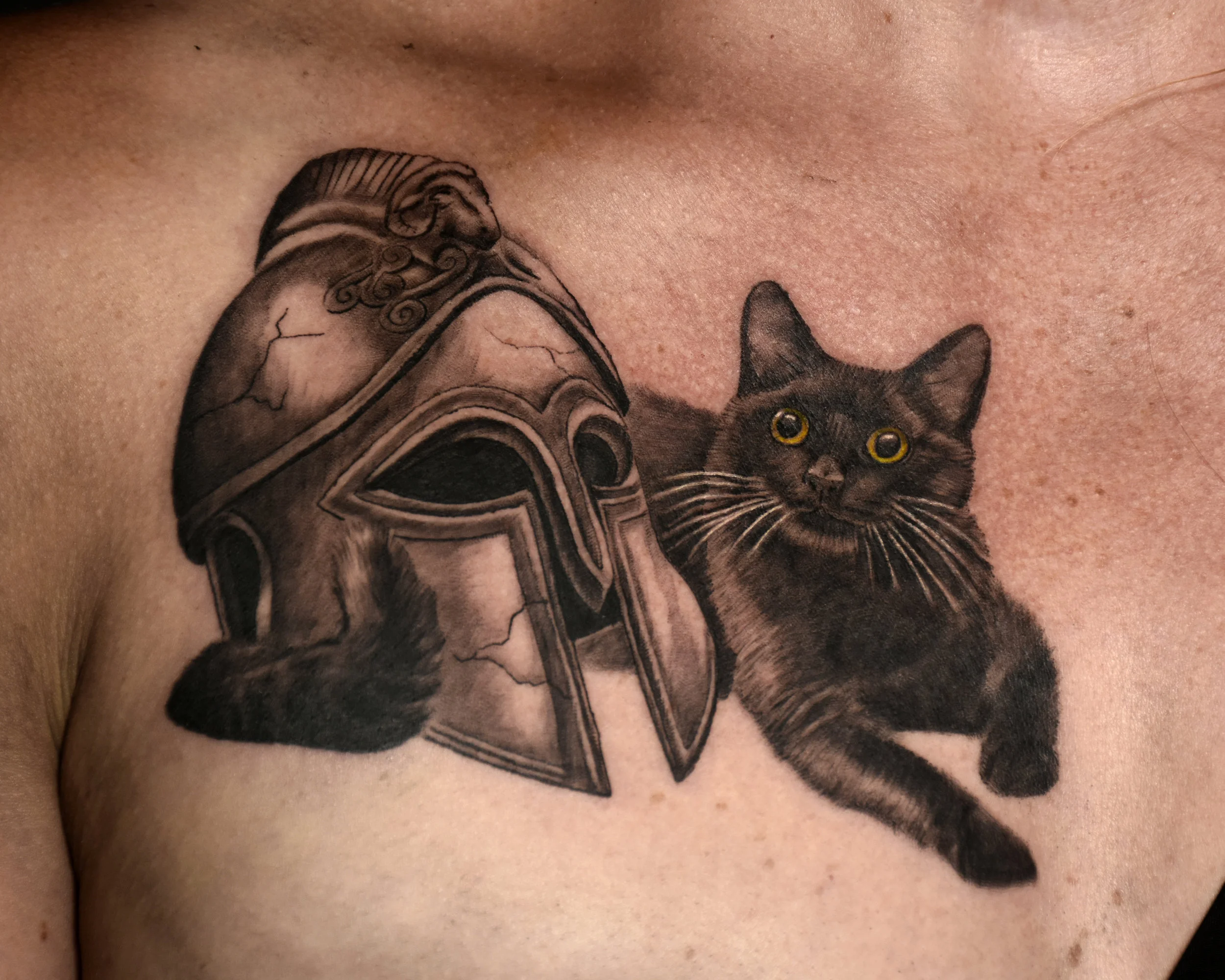 VinceKogut.AresCat.4.5.jpg