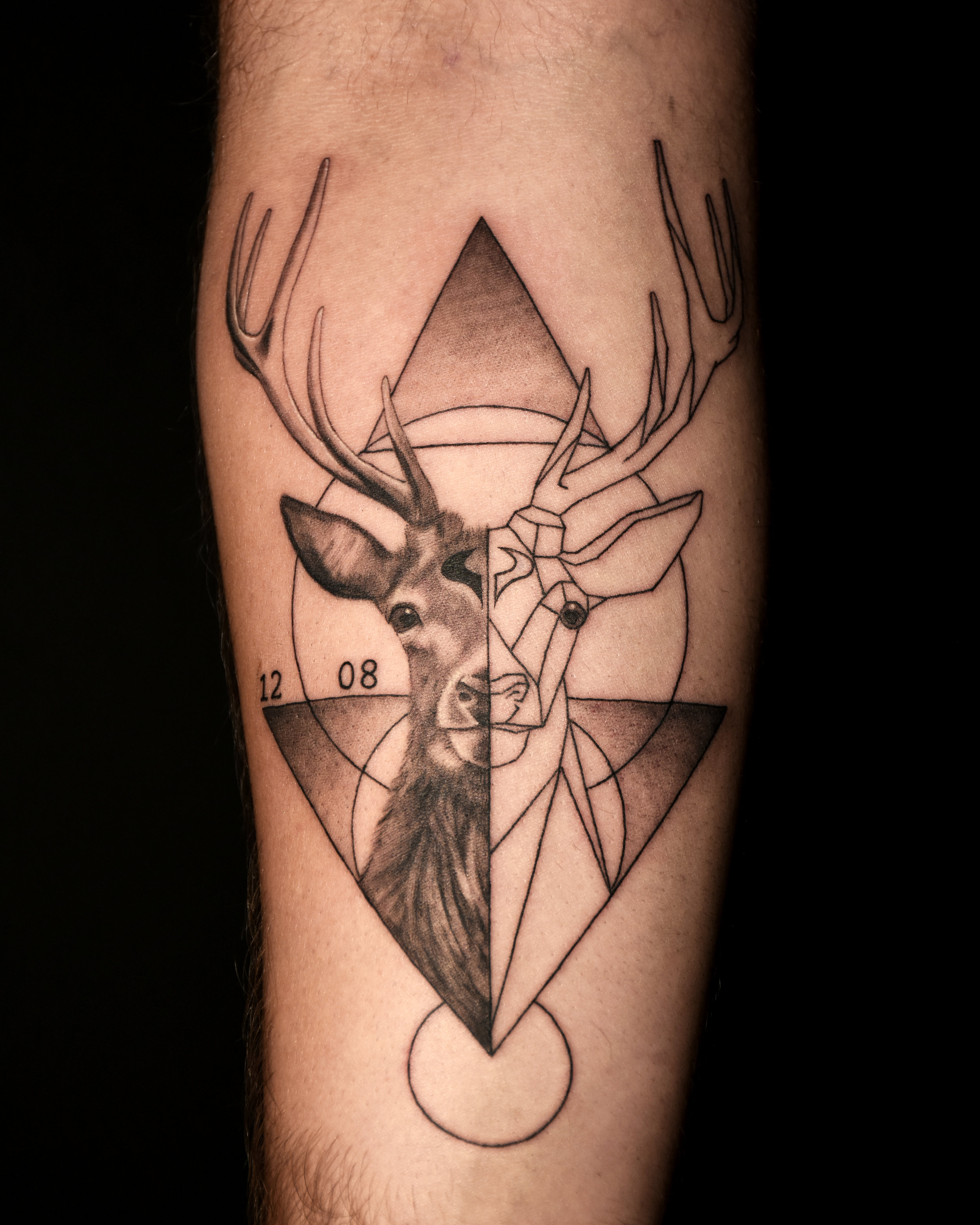 VinceKogut.GeoDeer.4.5.jpg