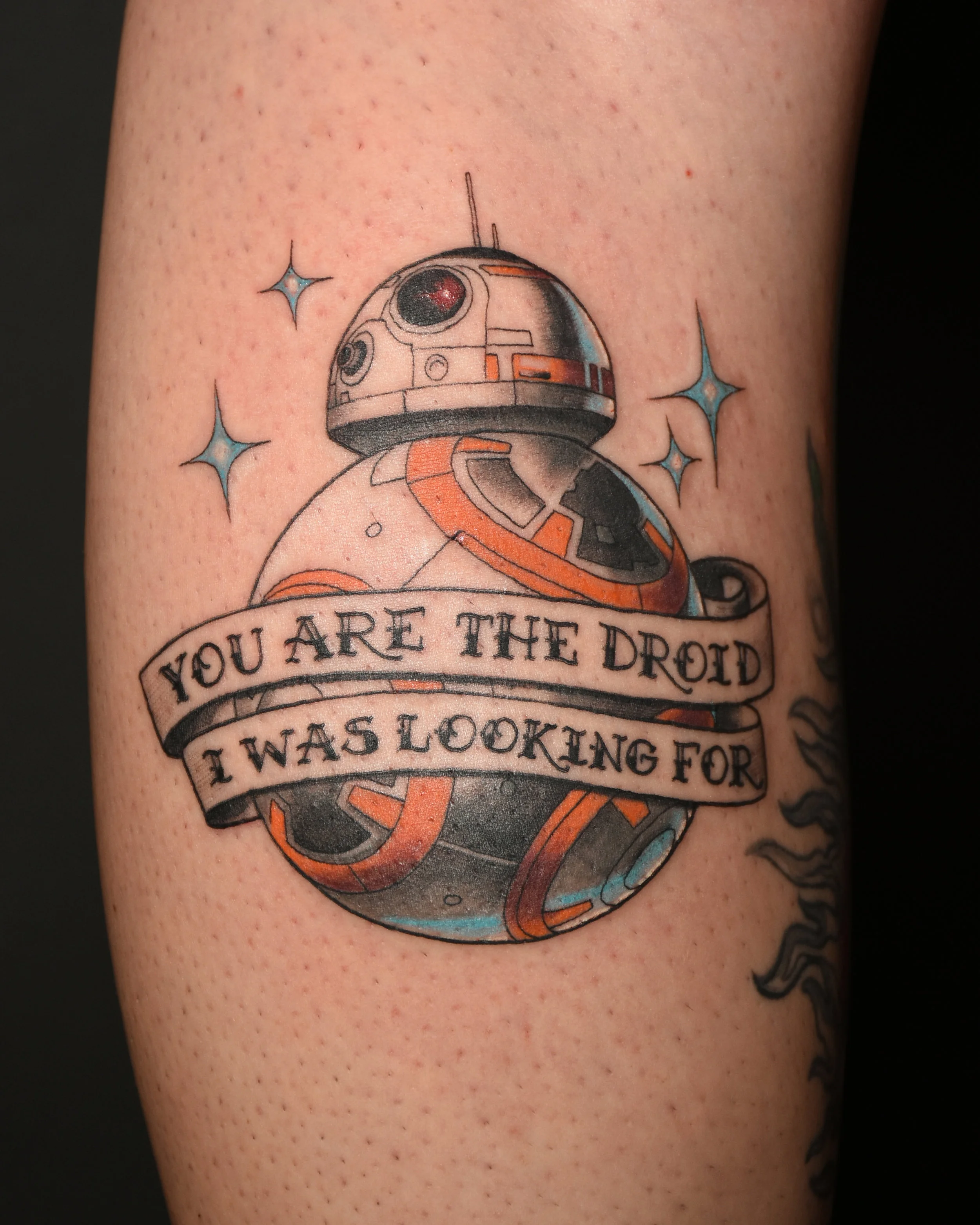 VinceKogut.BB8.Sat2.4.5.jpg