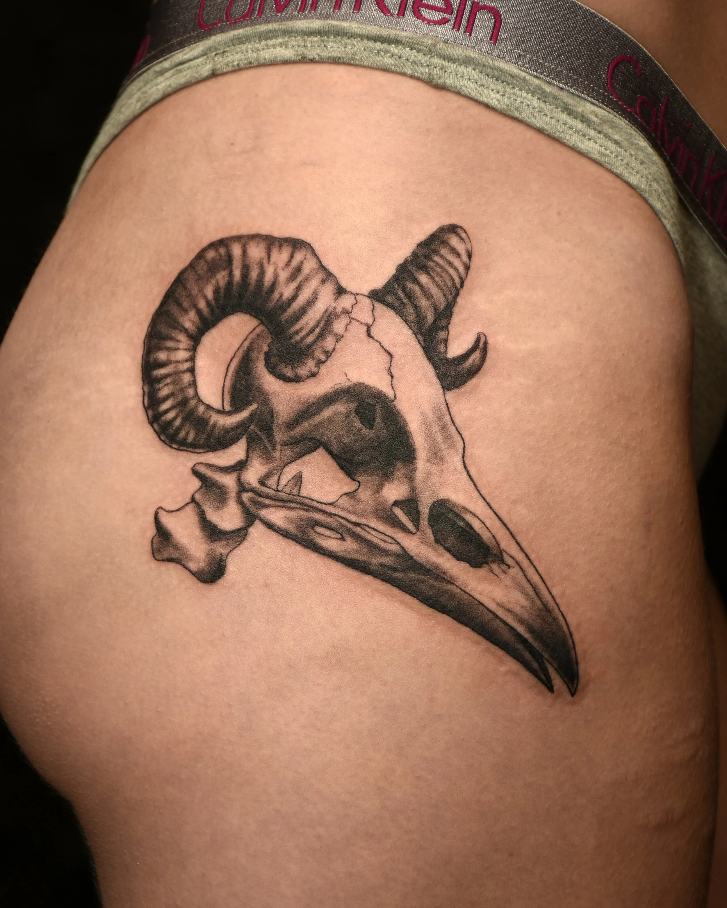 VinceKogut.BirdSkull2.4.5.jpg