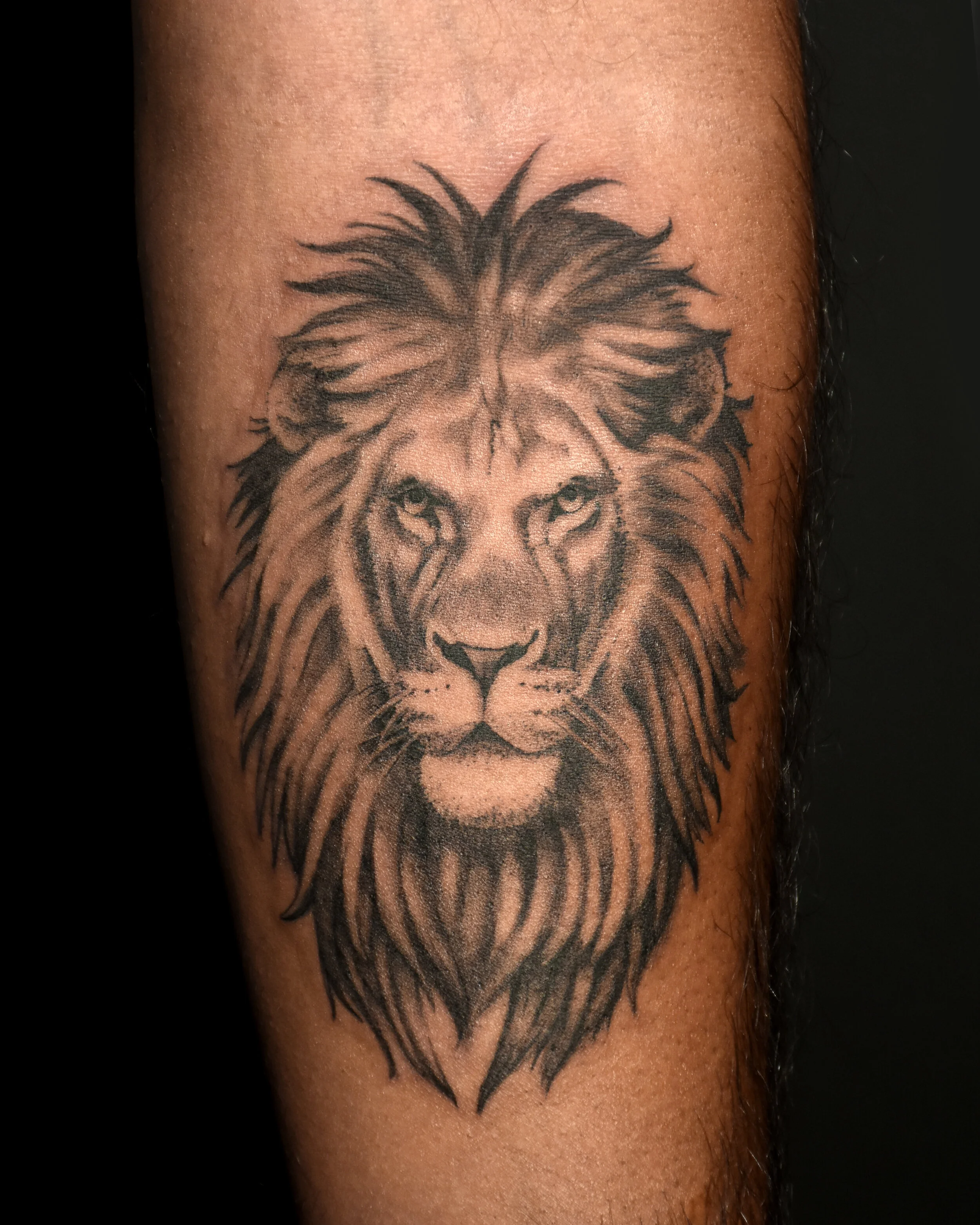 VinceKogut.LionSachin.4.5.jpg